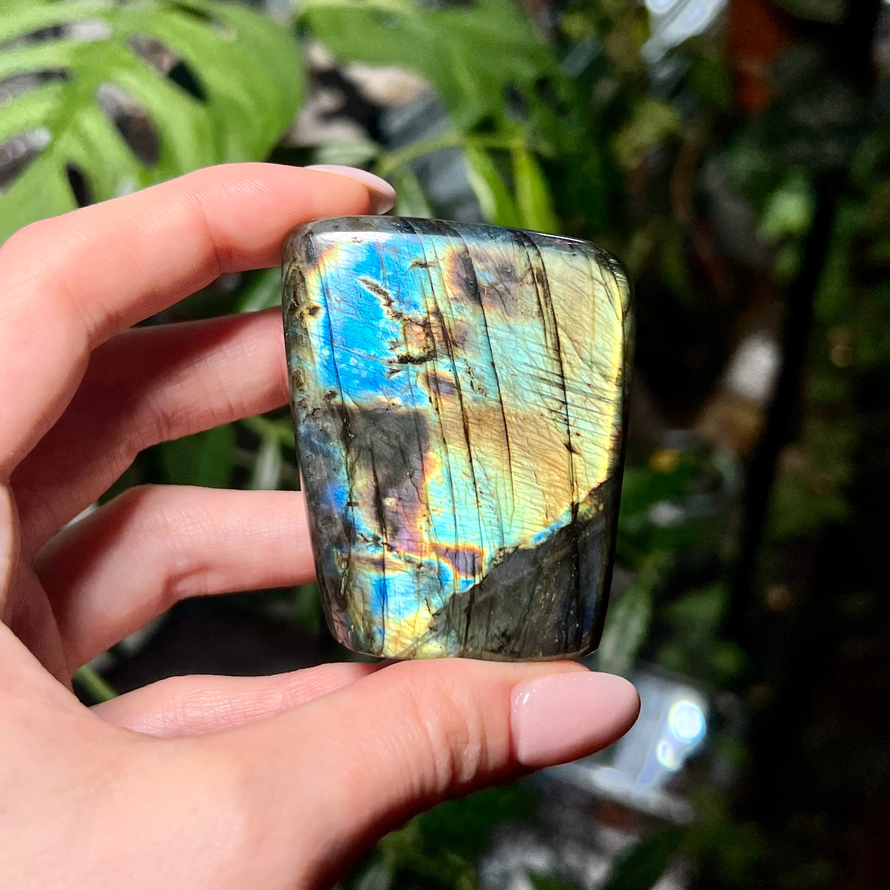 Labradorite Free Form