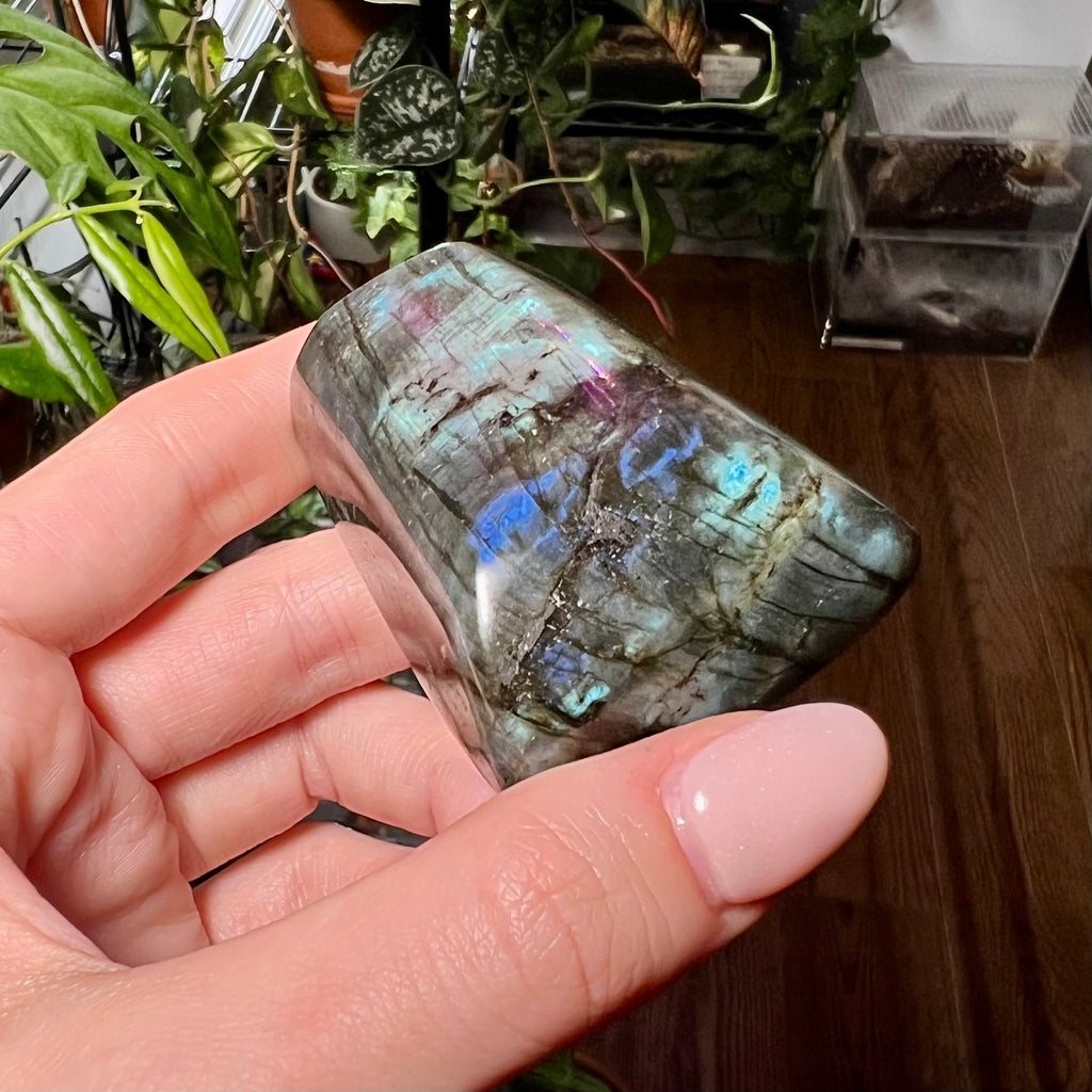 Labradorite Free Form