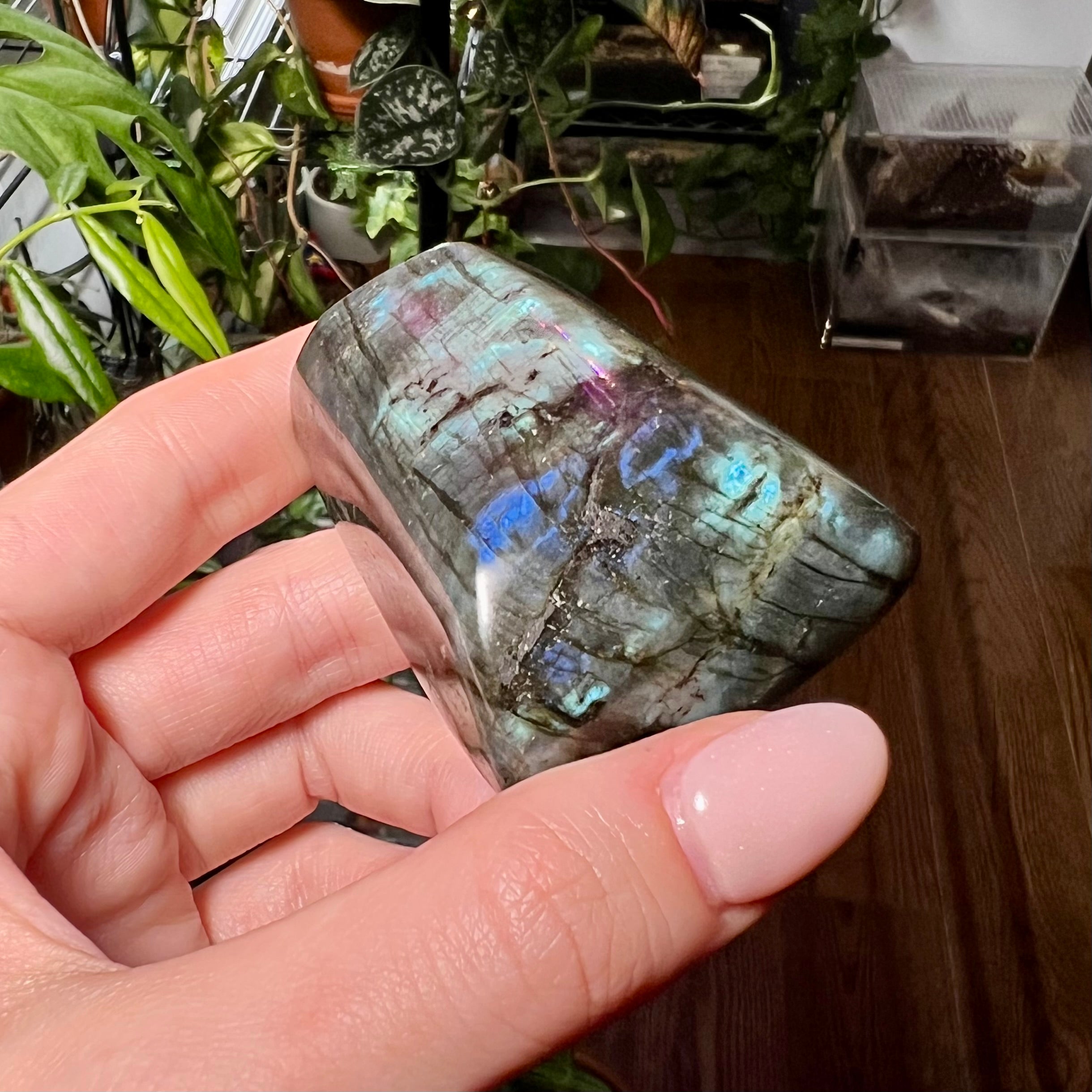 Labradorite Free Form