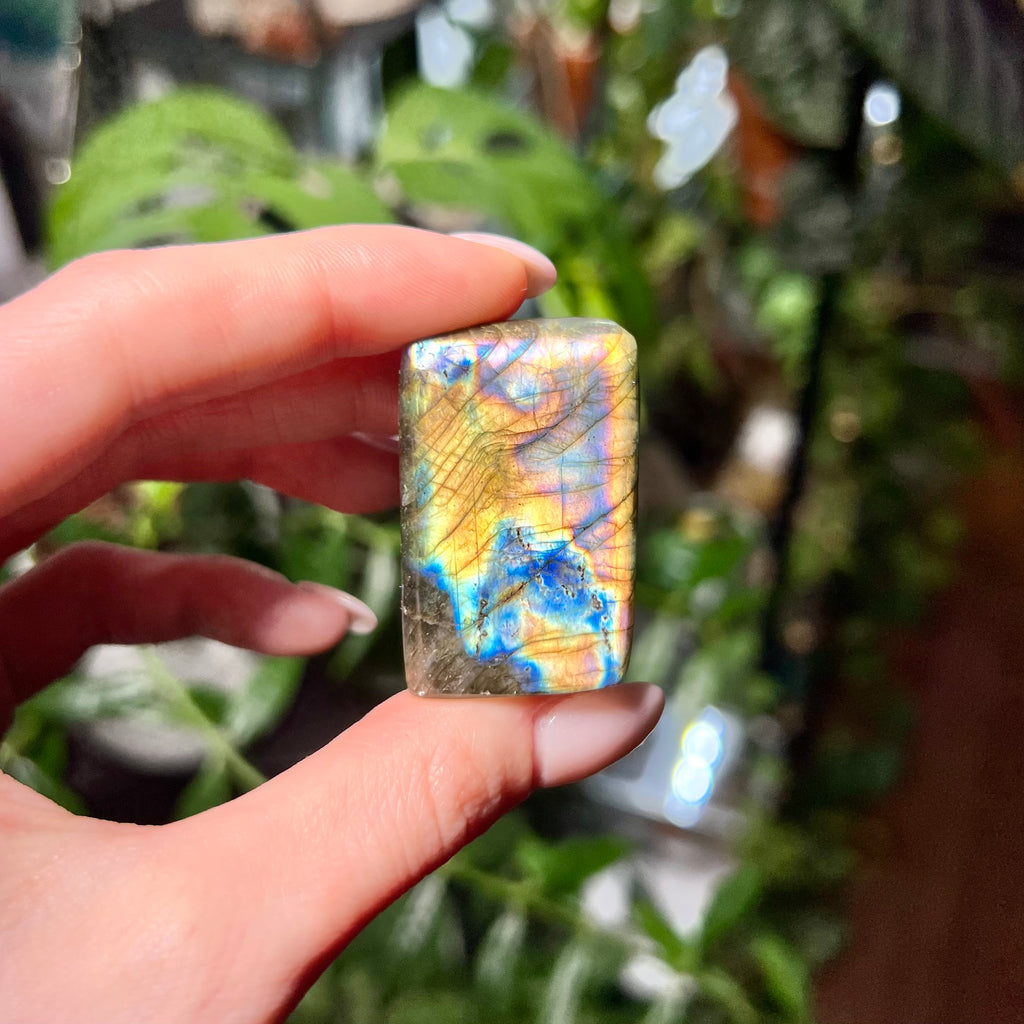 Labradorite Free Form