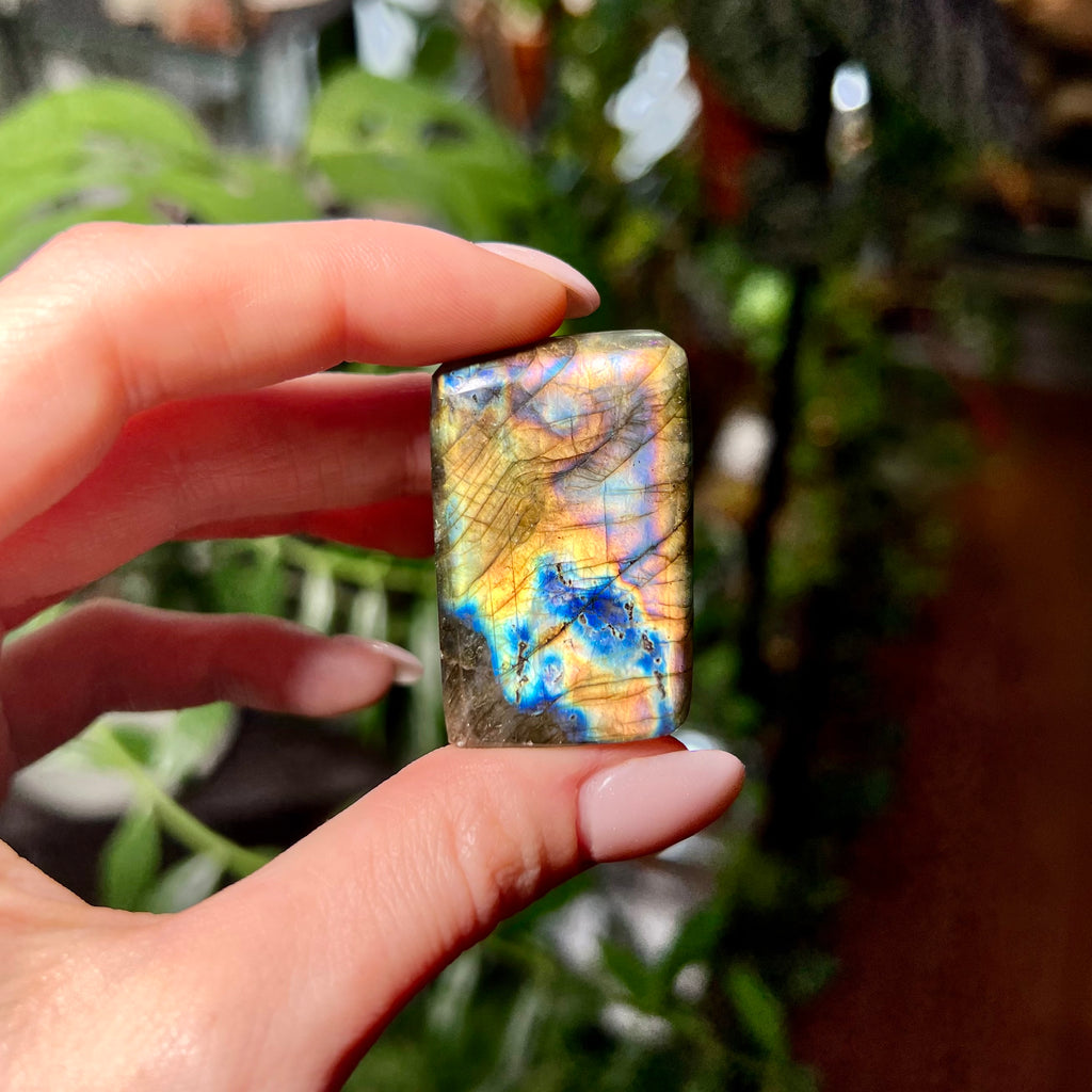 Labradorite Free Form