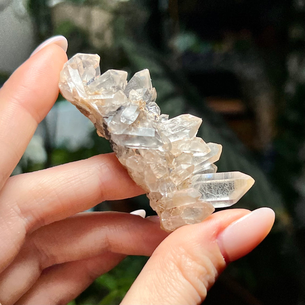 Pakistani Quartz Cluster