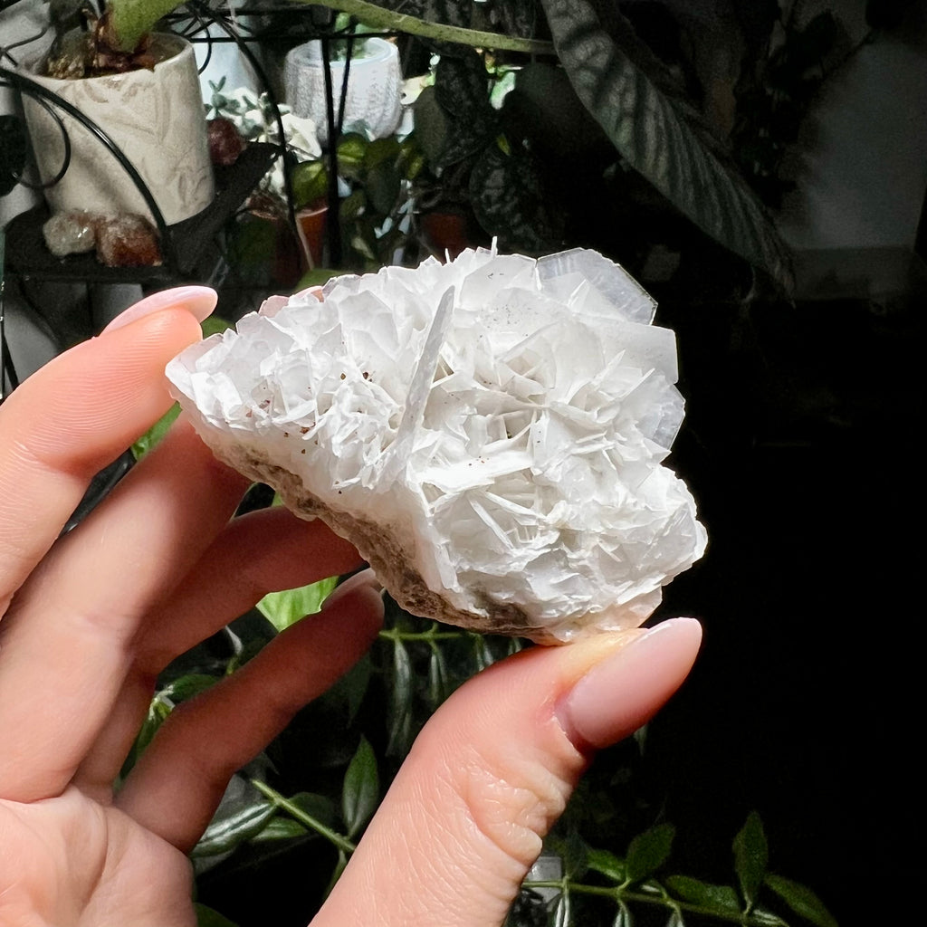 Rose Calcite Clusters - UV Reactive