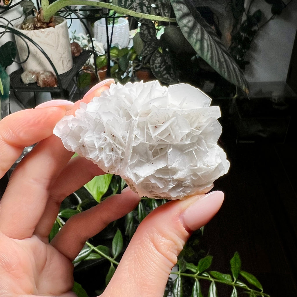 Rose Calcite Clusters - UV Reactive
