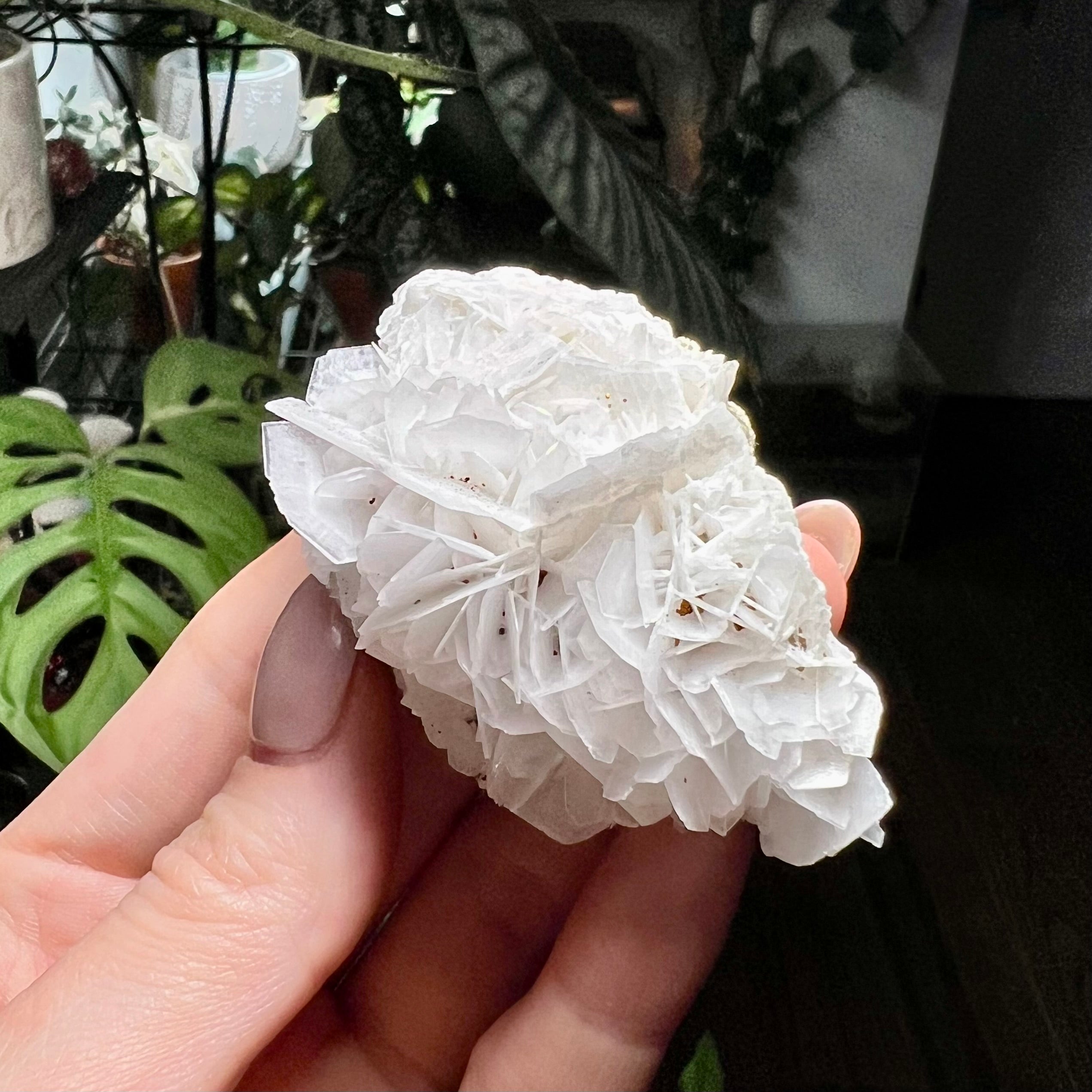 Rose Calcite Clusters - UV Reactive