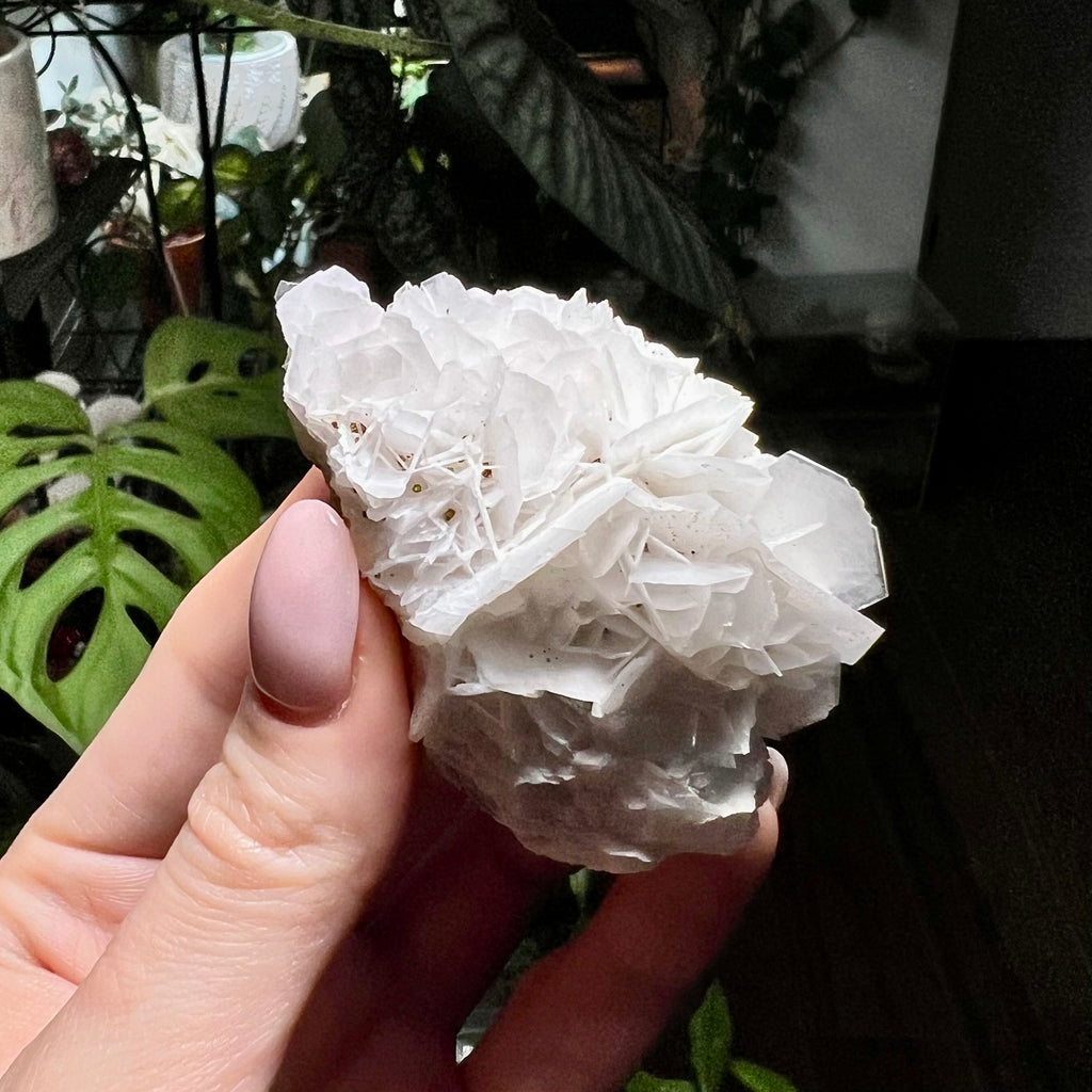 Rose Calcite Clusters - UV Reactive
