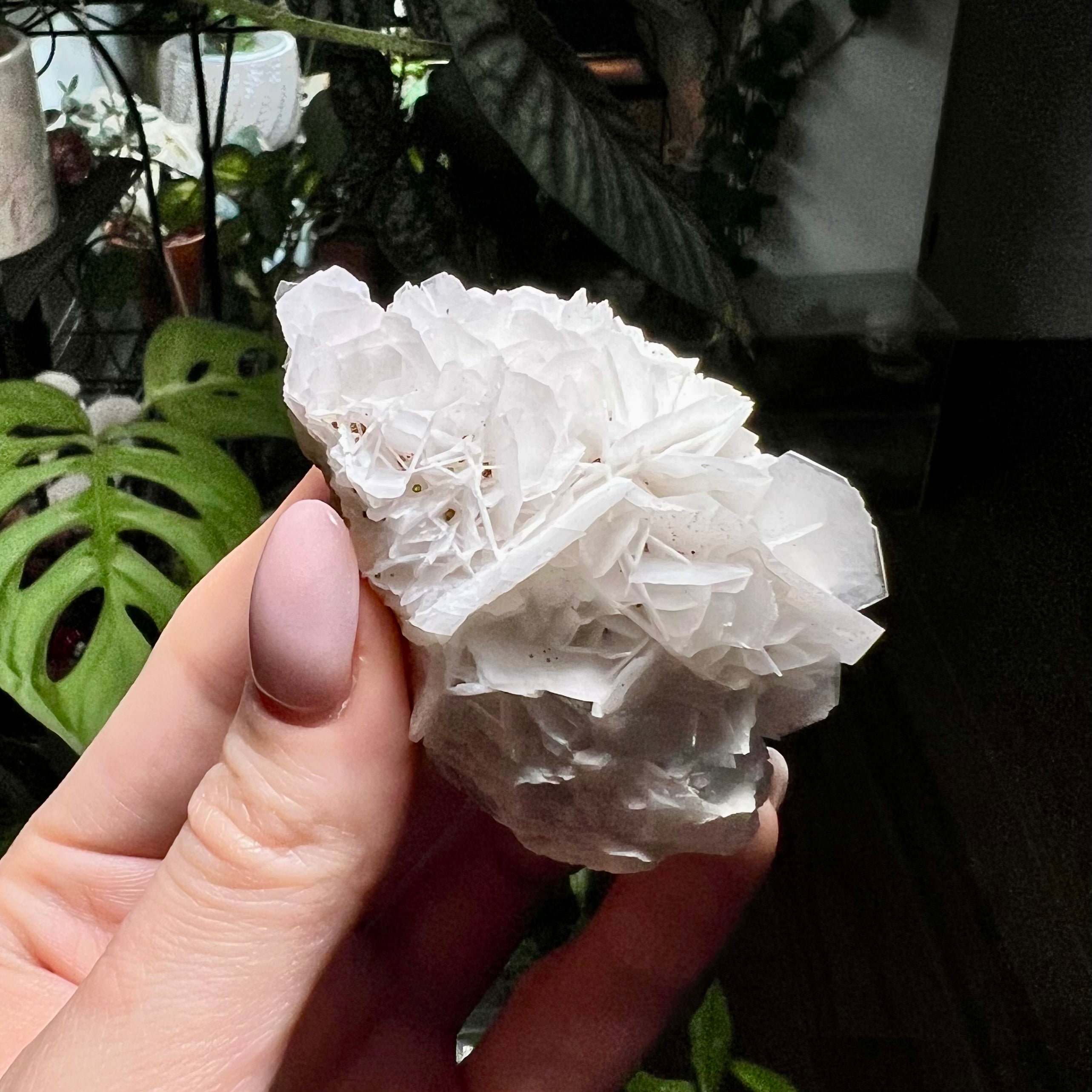 Rose Calcite Clusters - UV Reactive