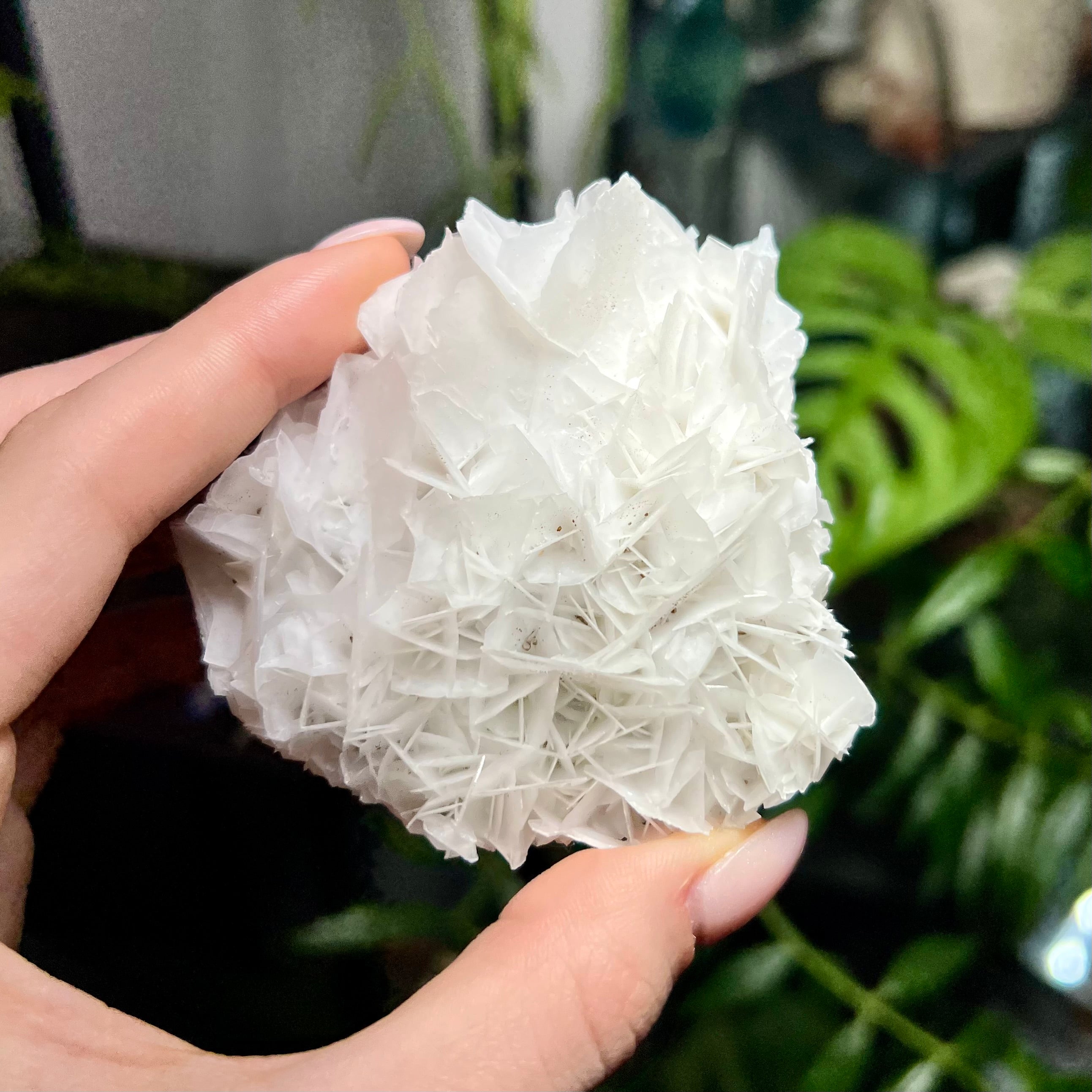 Rose Calcite Clusters - UV Reactive