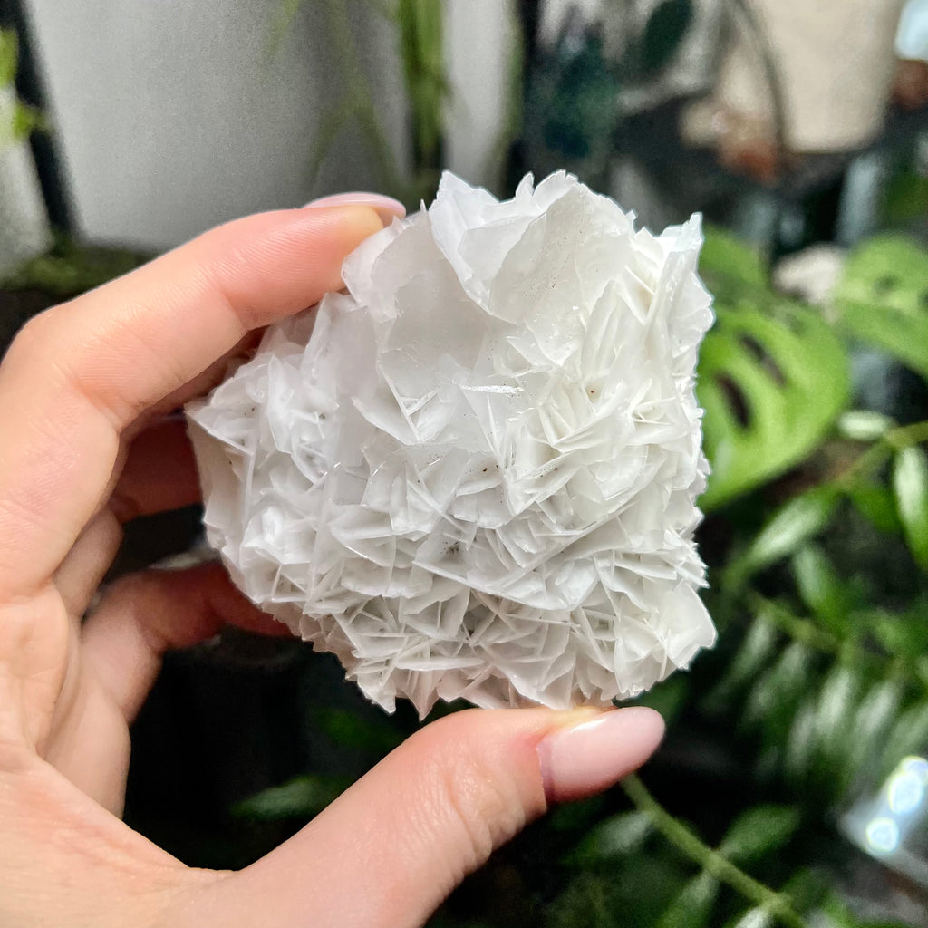 Rose Calcite Clusters - UV Reactive