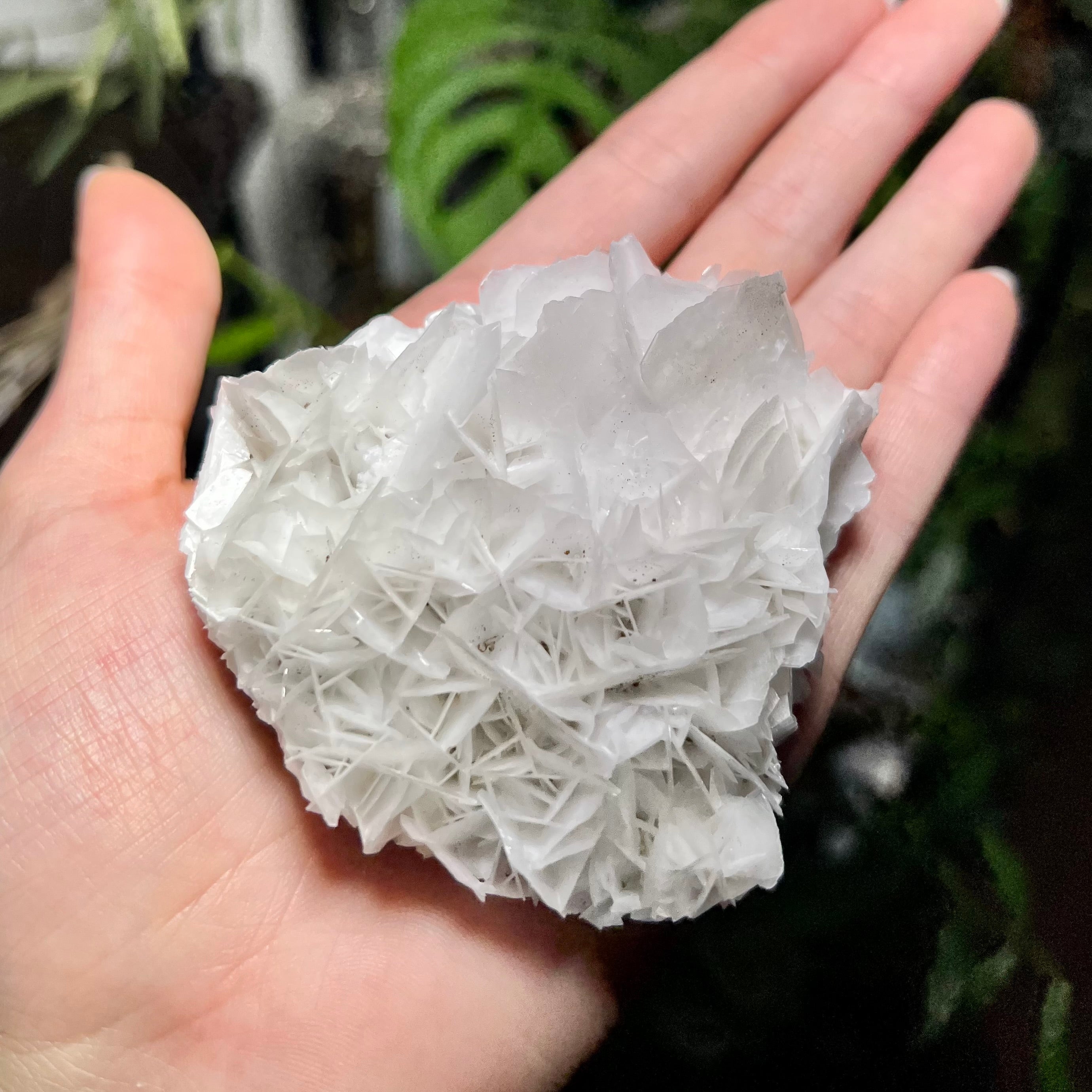 Rose Calcite Clusters - UV Reactive