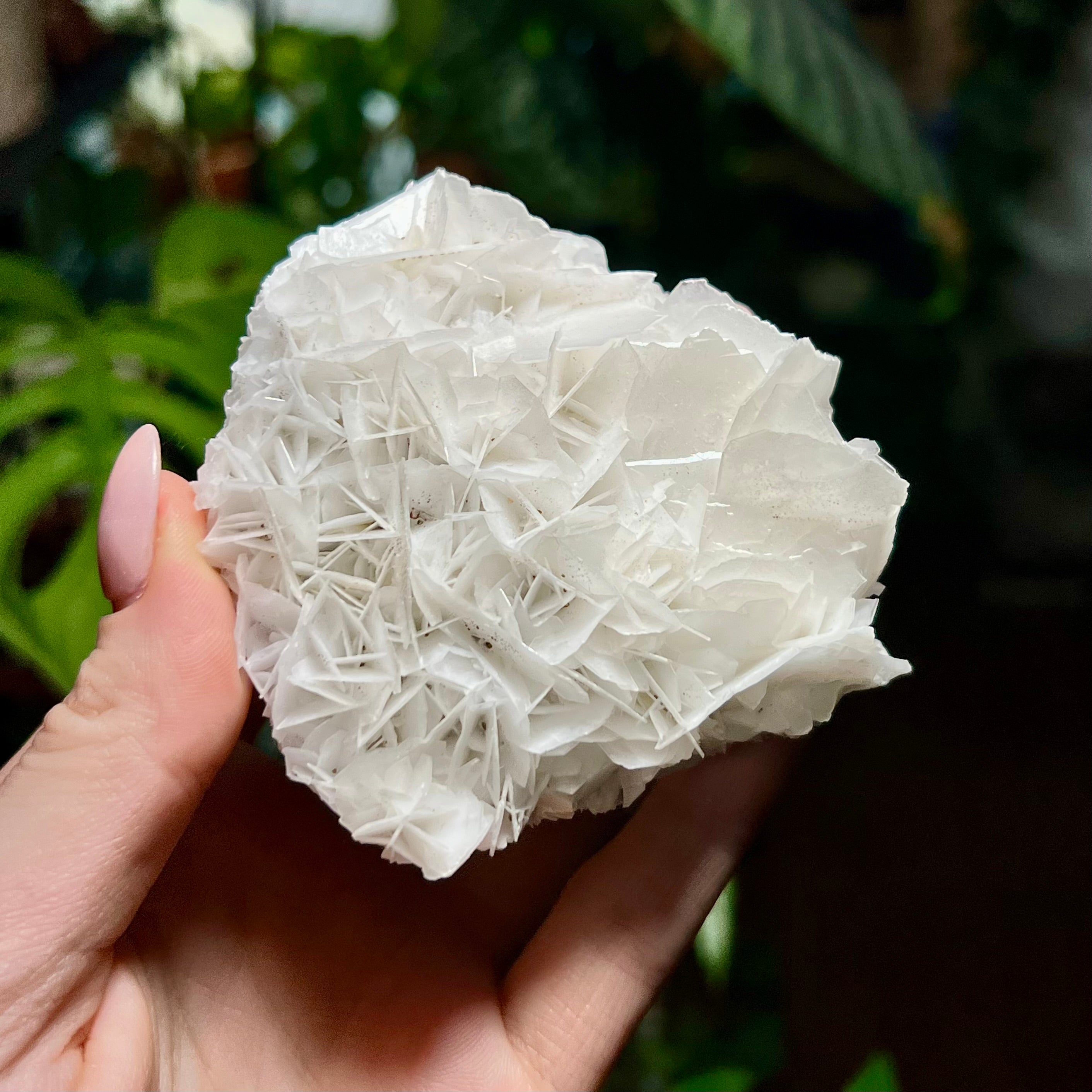 Rose Calcite Clusters - UV Reactive