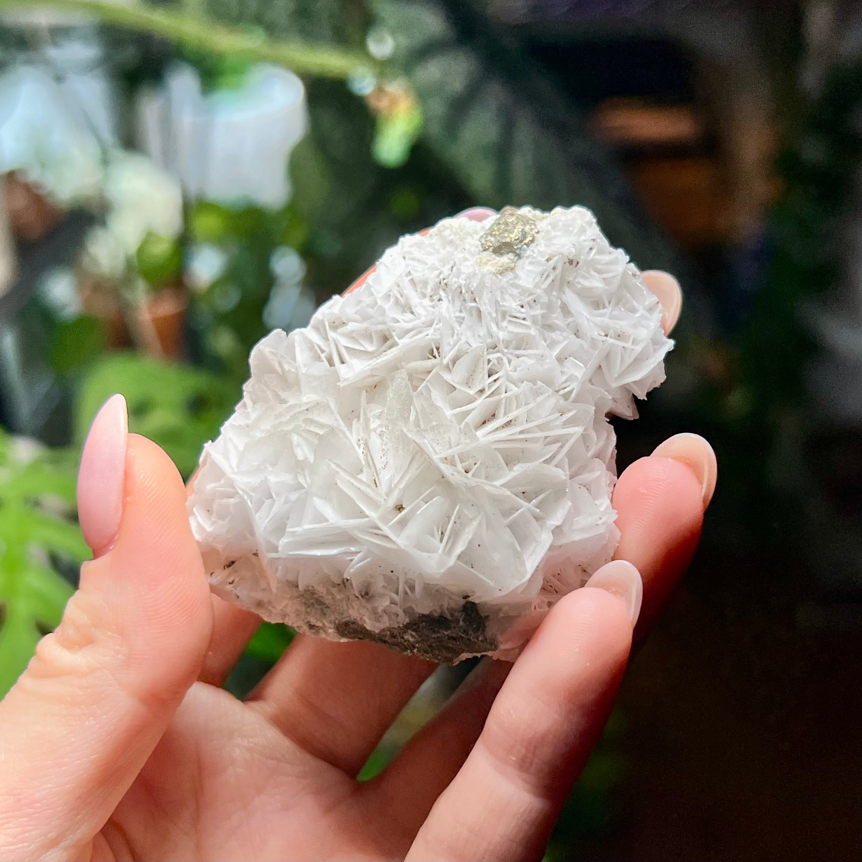 Rose Calcite Clusters - UV Reactive