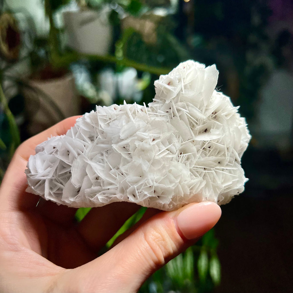 Rose Calcite Clusters - UV Reactive