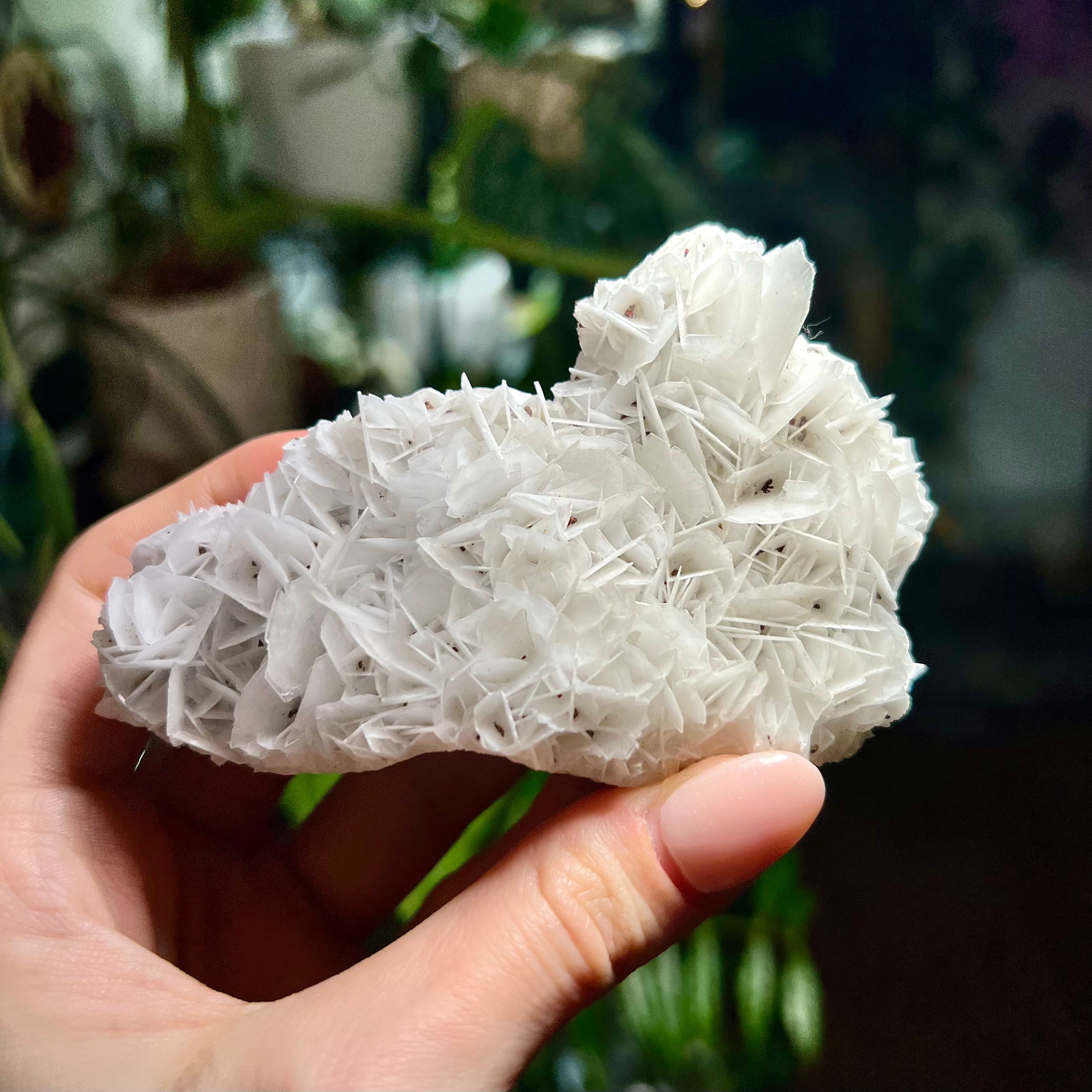Rose Calcite Clusters - UV Reactive