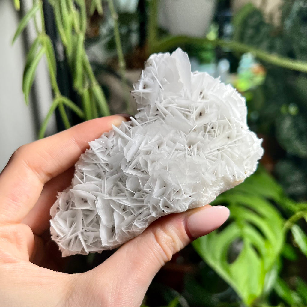 Rose Calcite Clusters - UV Reactive