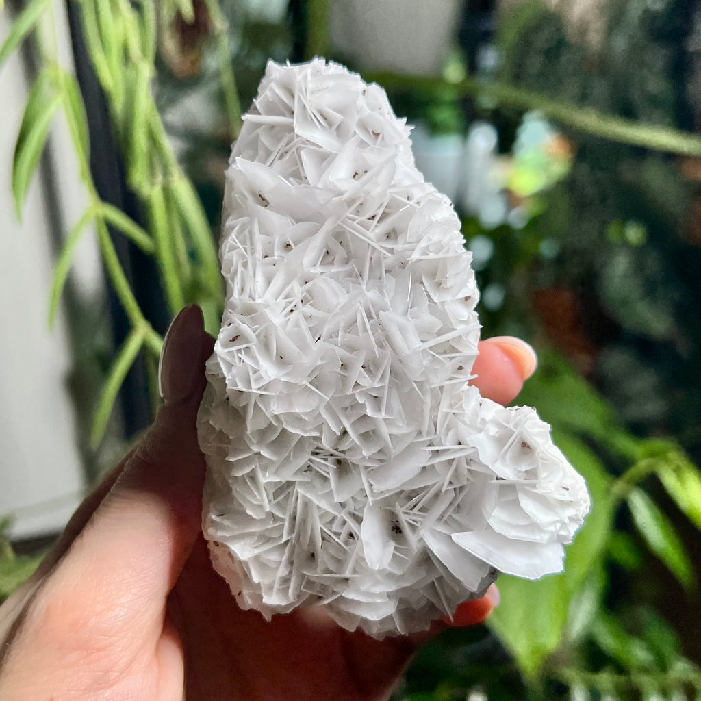 Rose Calcite Clusters - UV Reactive