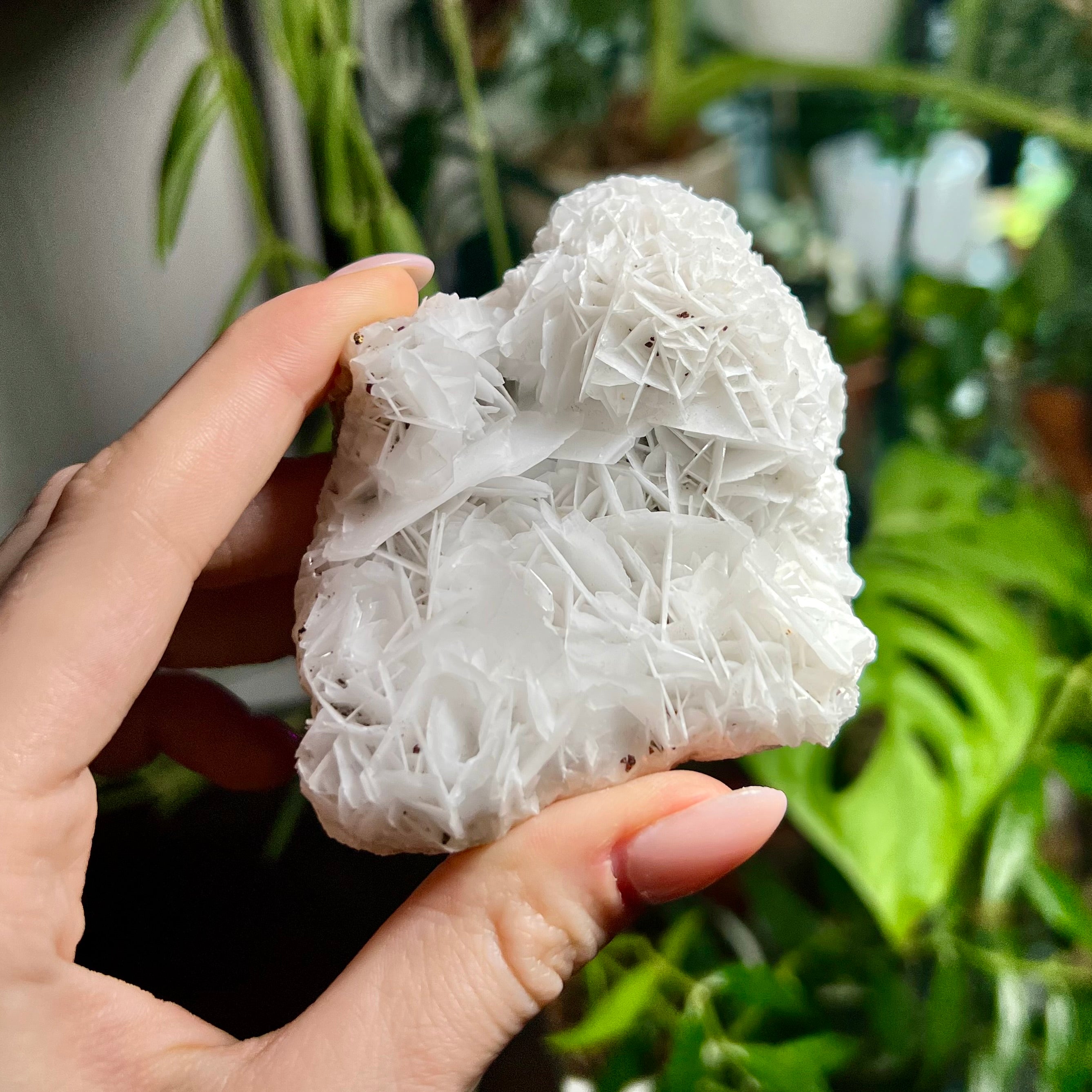 Rose Calcite Clusters - UV Reactive
