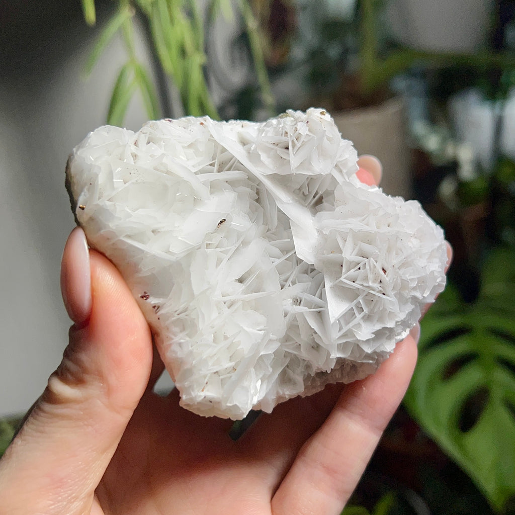 Rose Calcite Clusters - UV Reactive