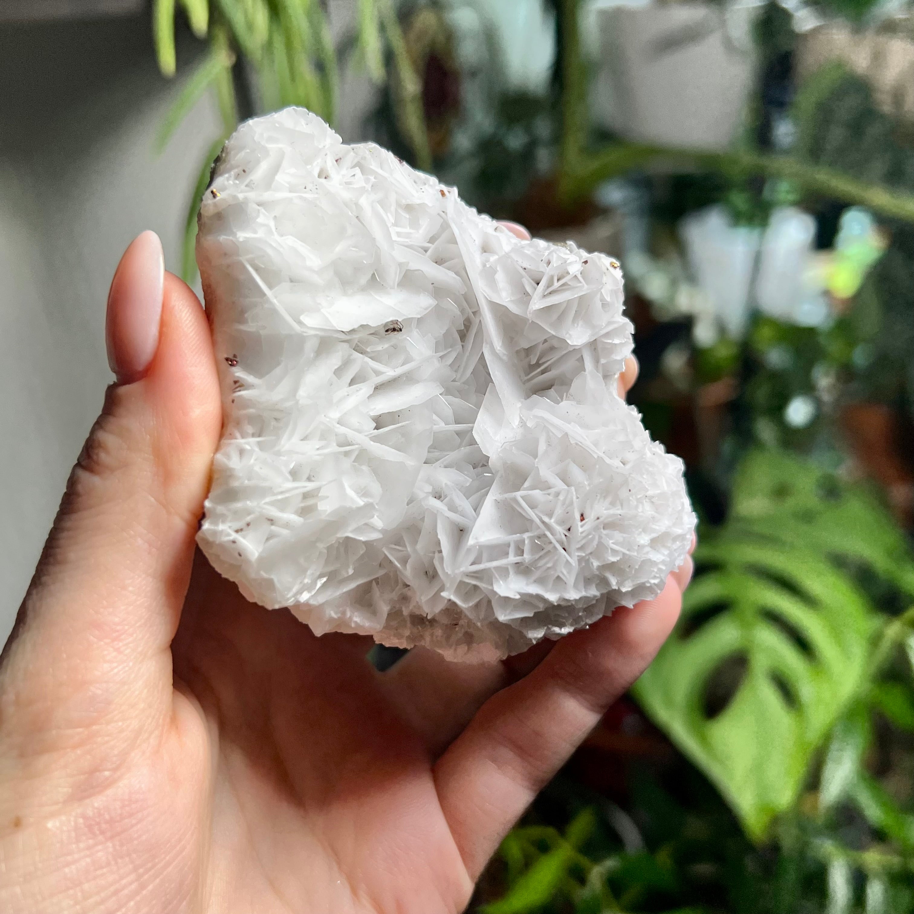Rose Calcite Clusters - UV Reactive
