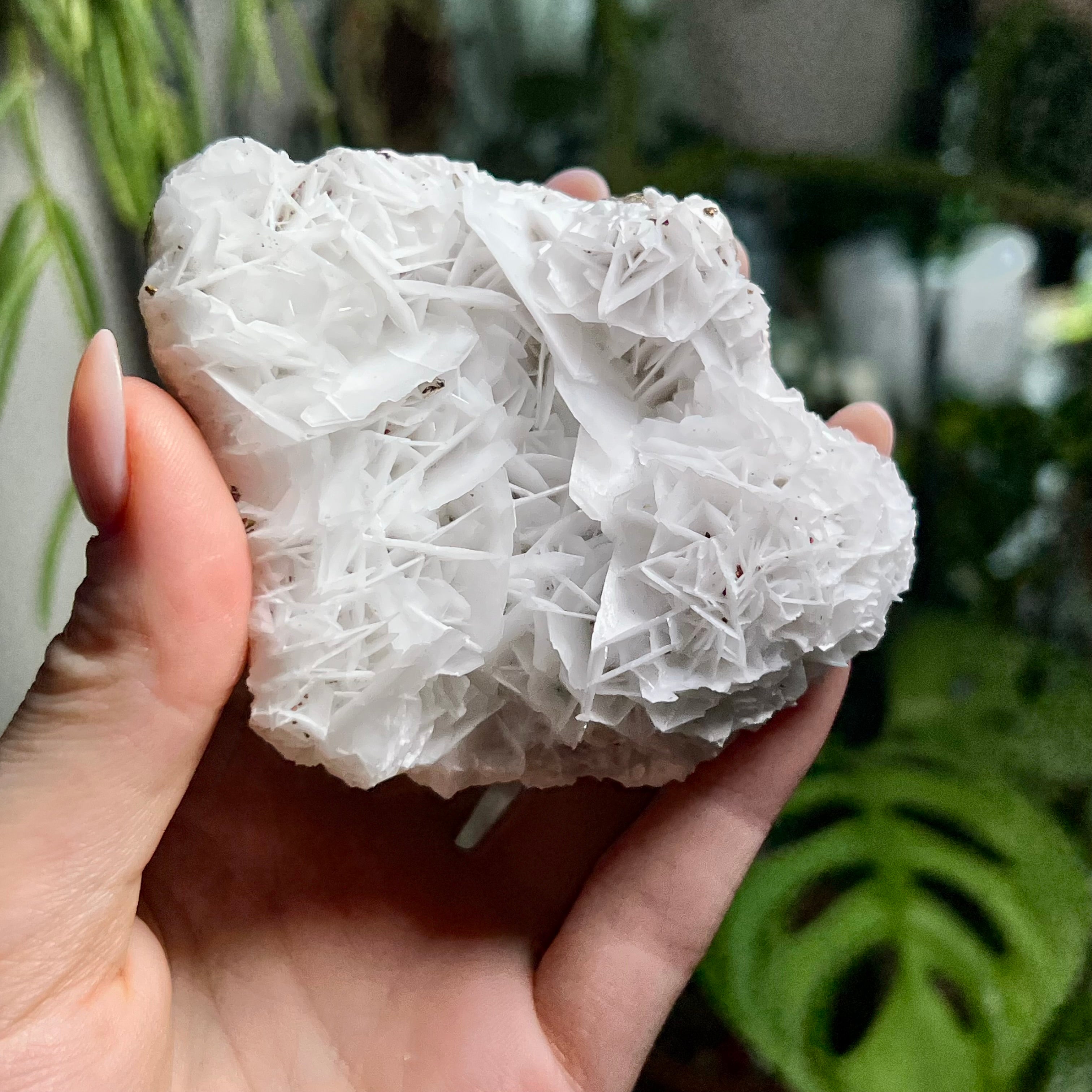 Rose Calcite Clusters - UV Reactive
