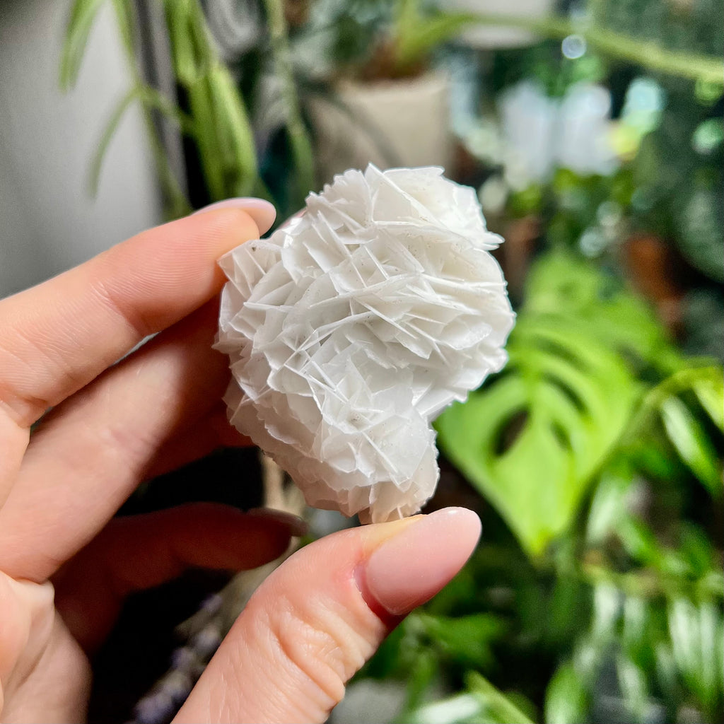 Rose Calcite Clusters - UV Reactive