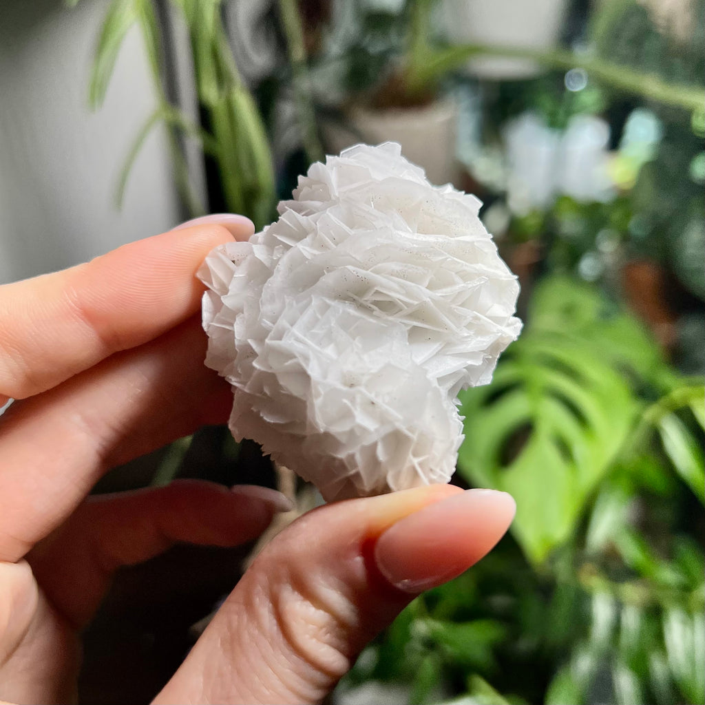 Rose Calcite Clusters - UV Reactive