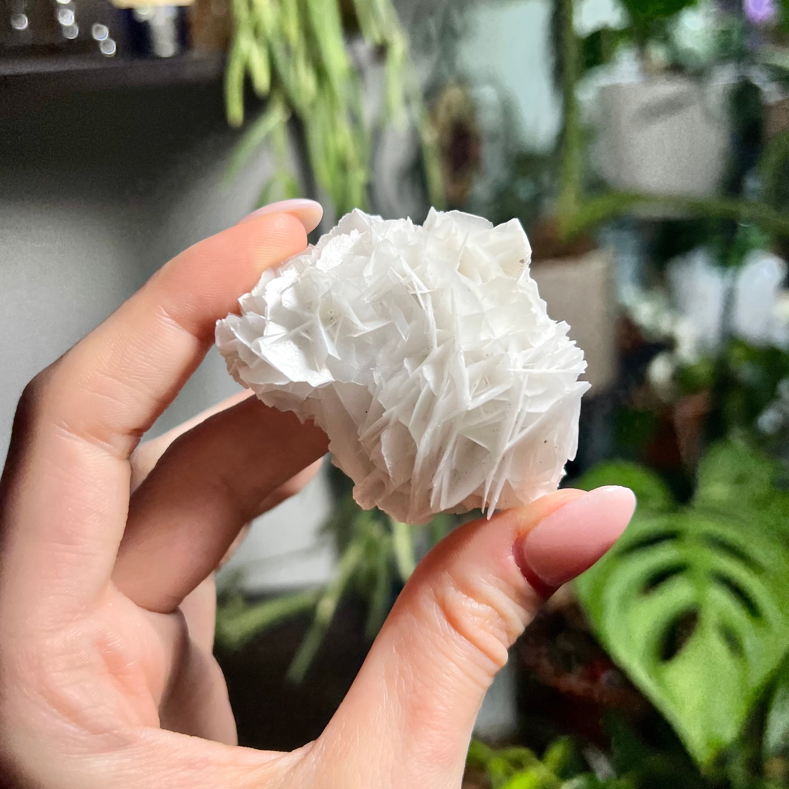Rose Calcite Clusters - UV Reactive