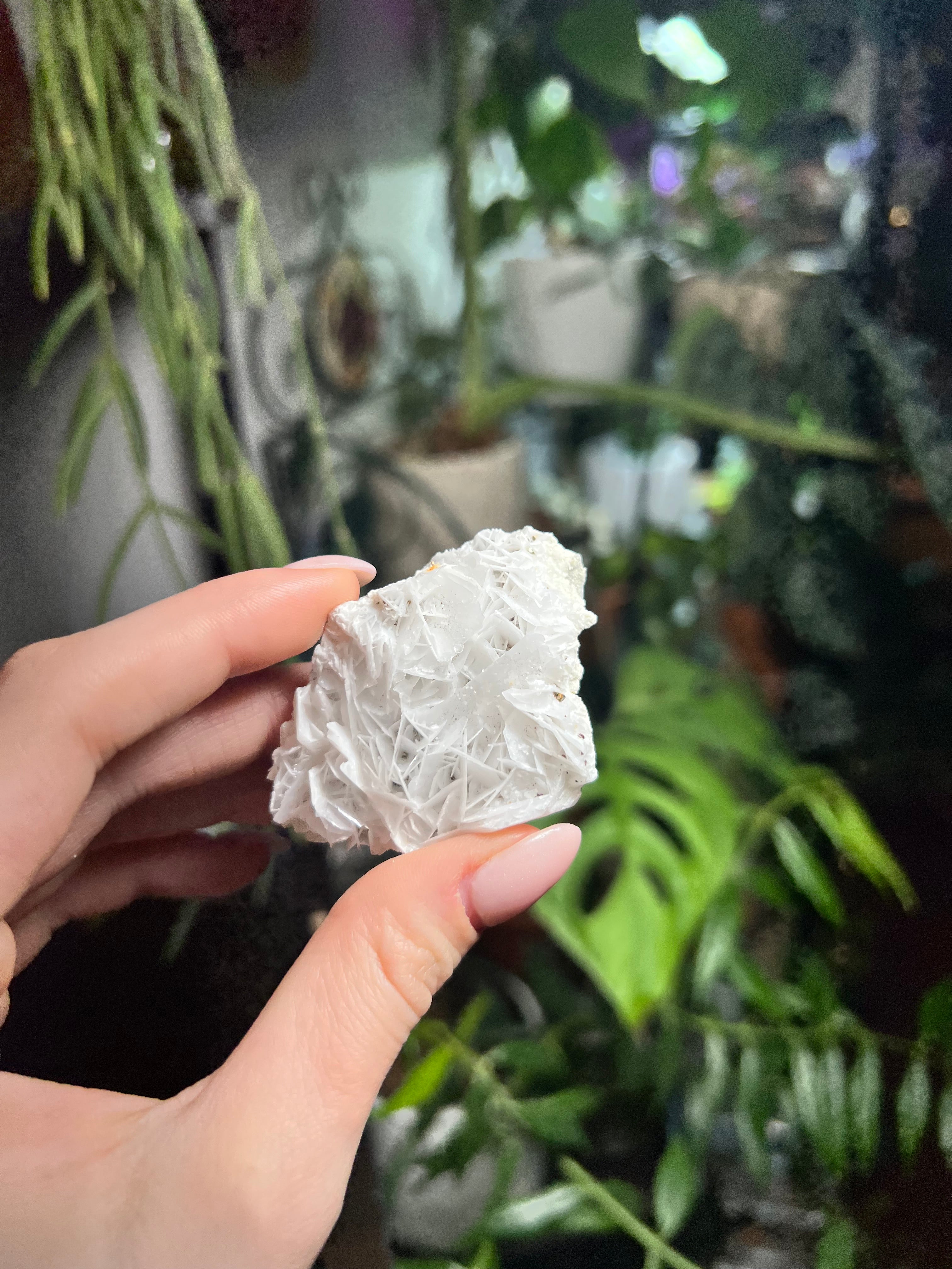 Rose Calcite Clusters - UV Reactive
