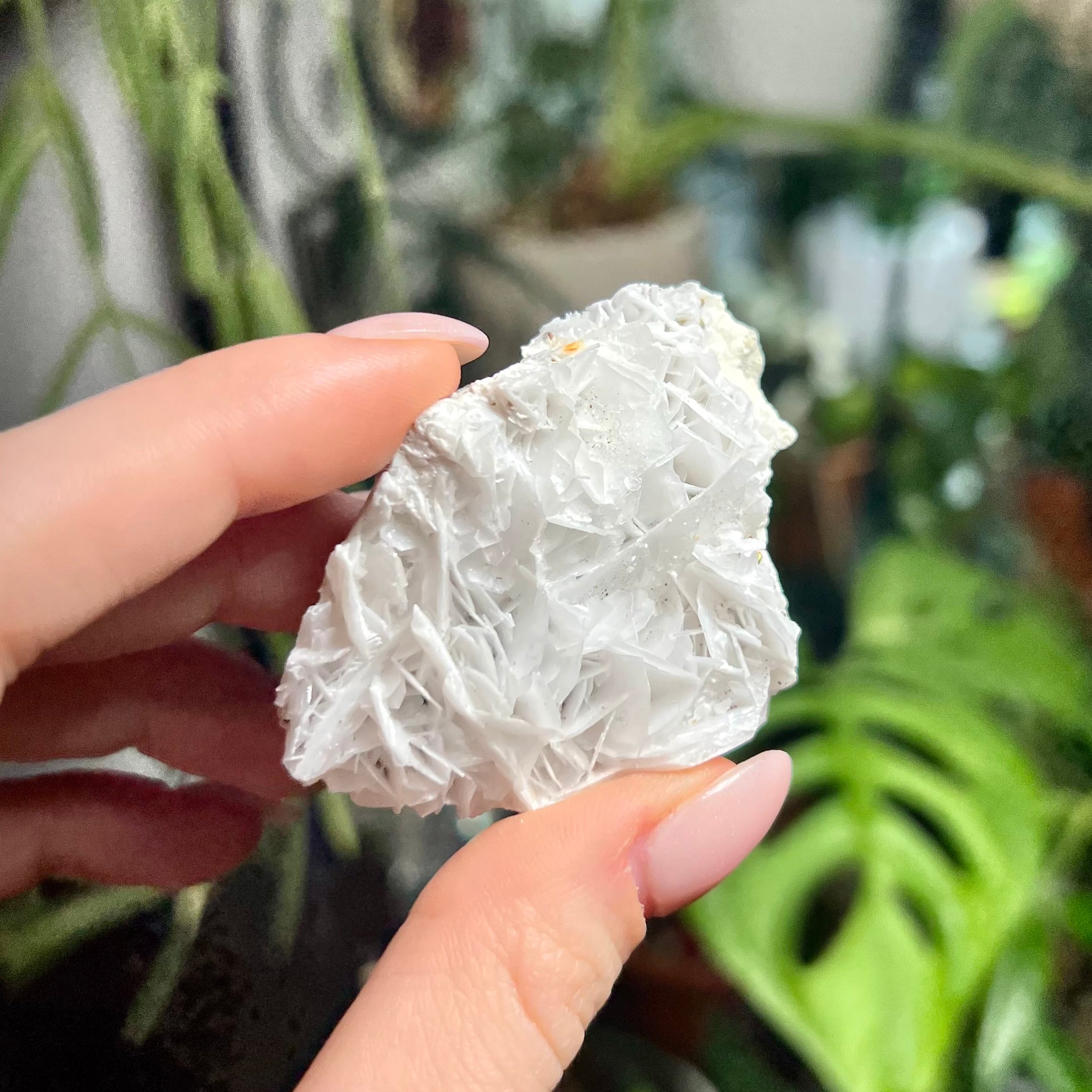 Rose Calcite Clusters - UV Reactive