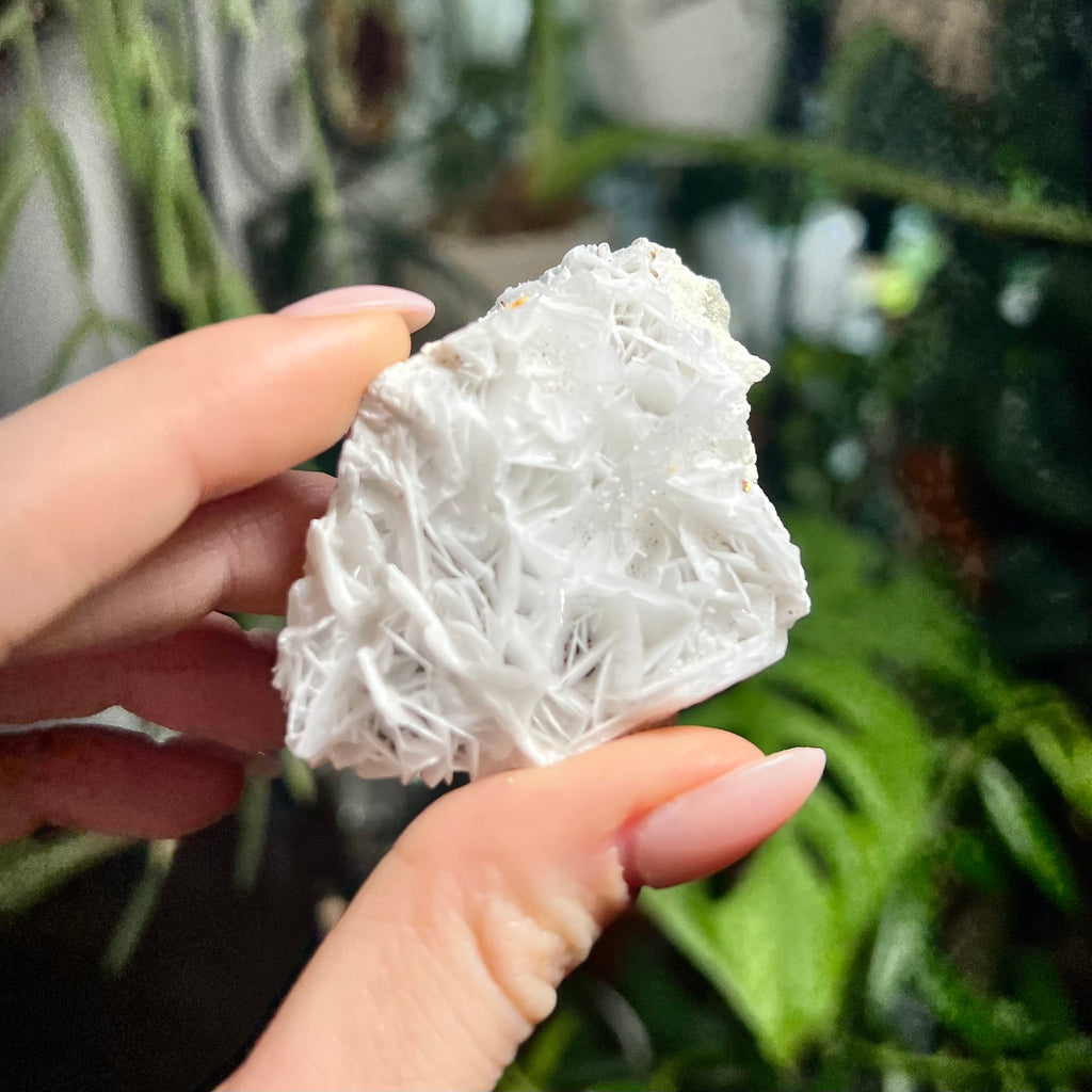 Rose Calcite Clusters - UV Reactive