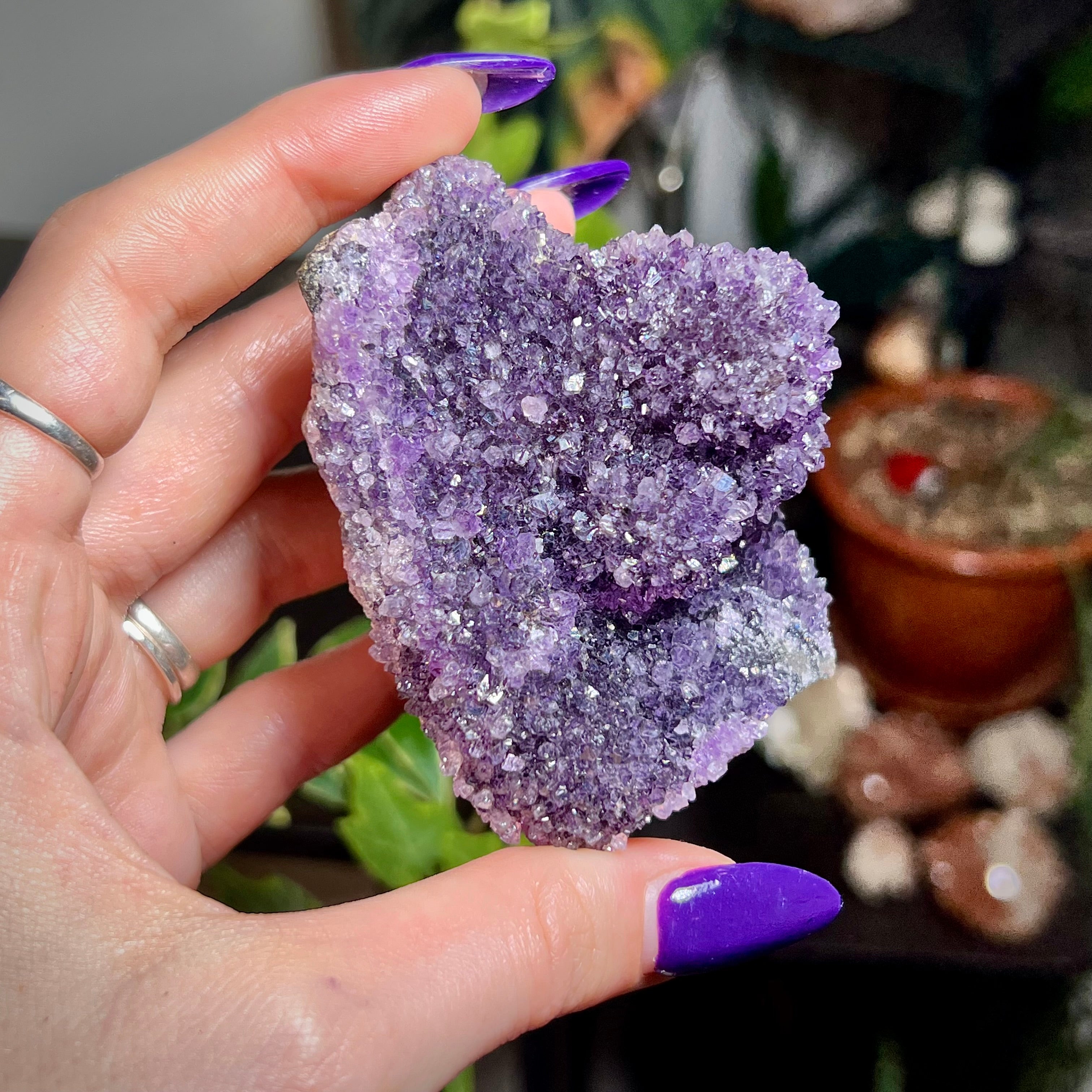 Amethyst Druzy Cluster