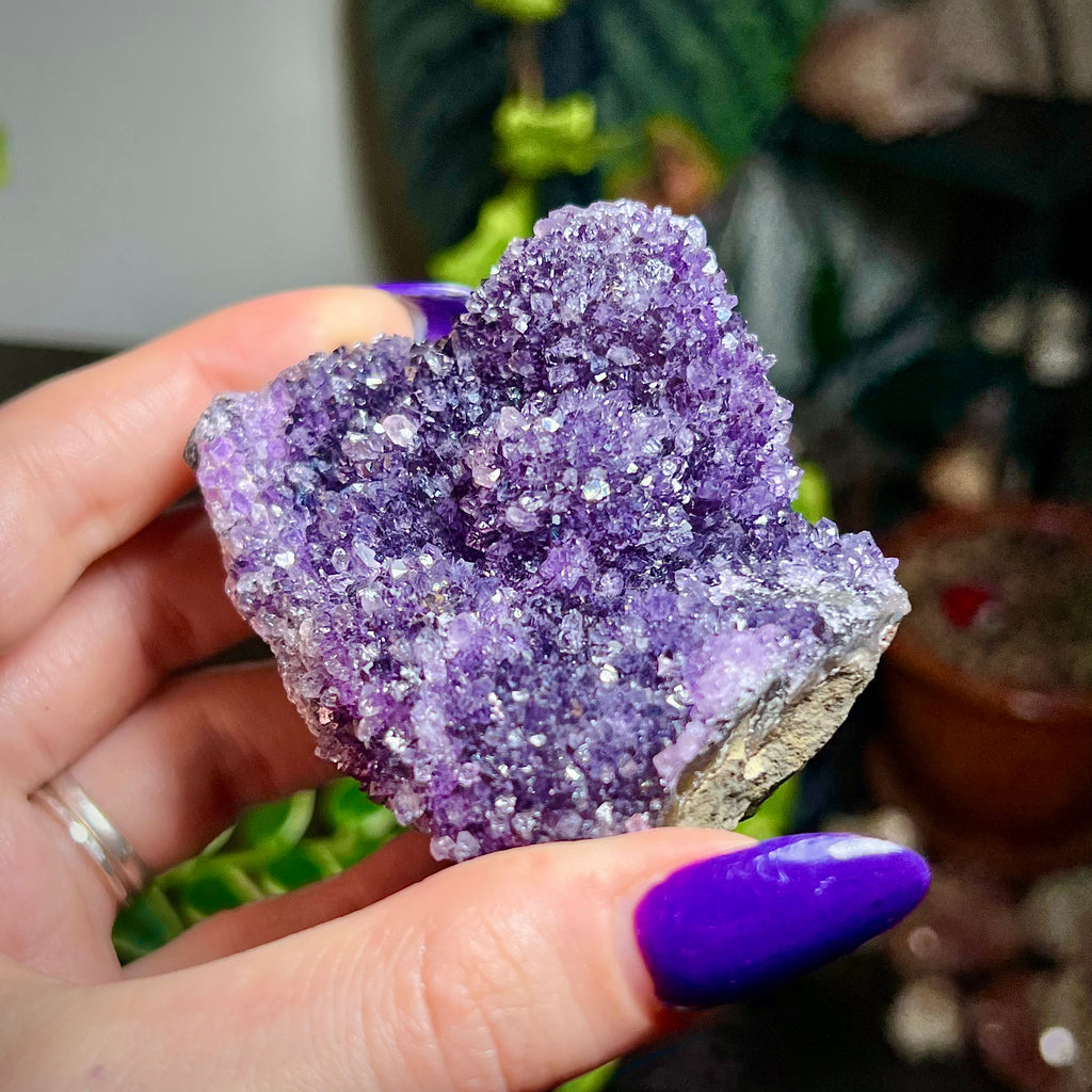 Amethyst Druzy Cluster