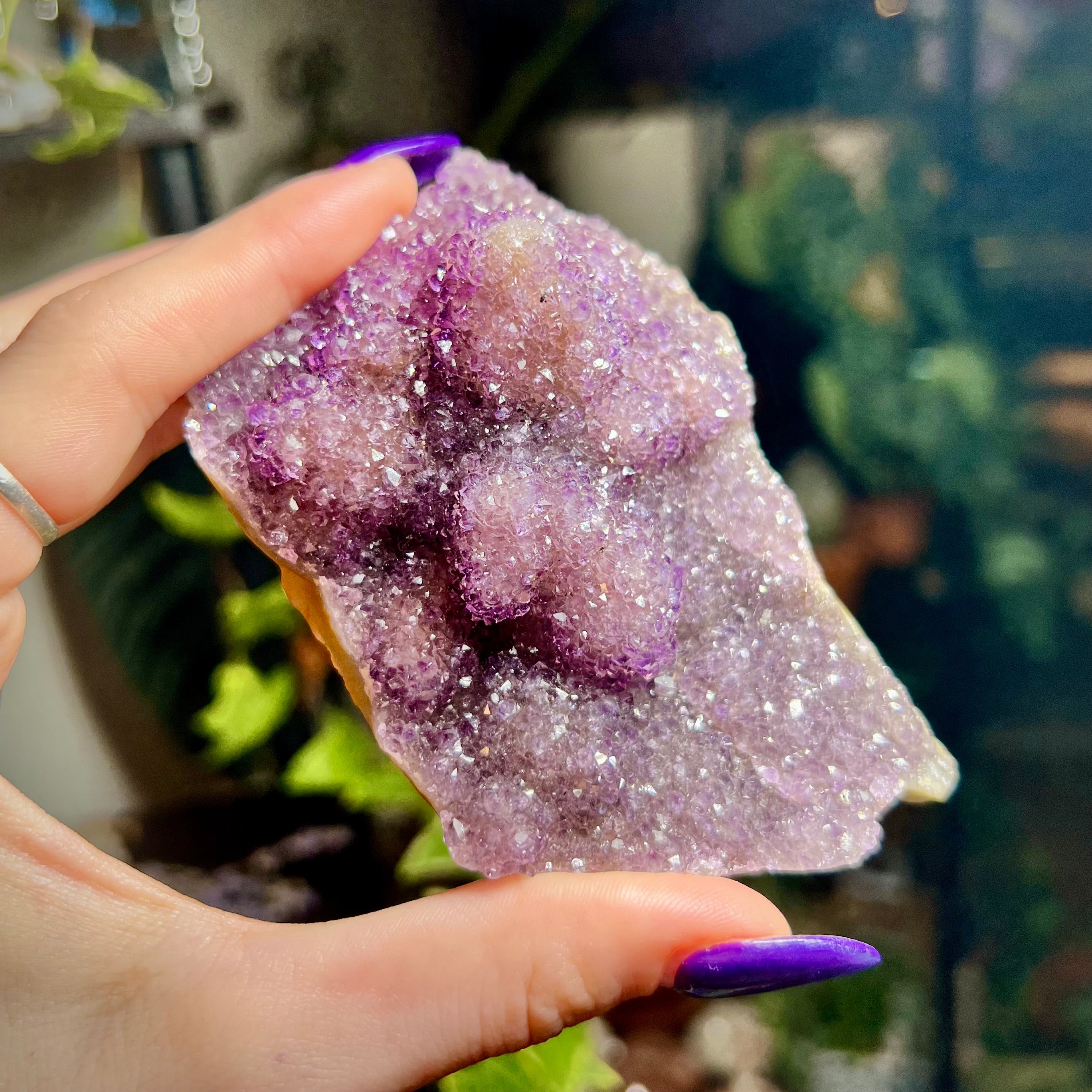 Amethyst Druzy Cluster
