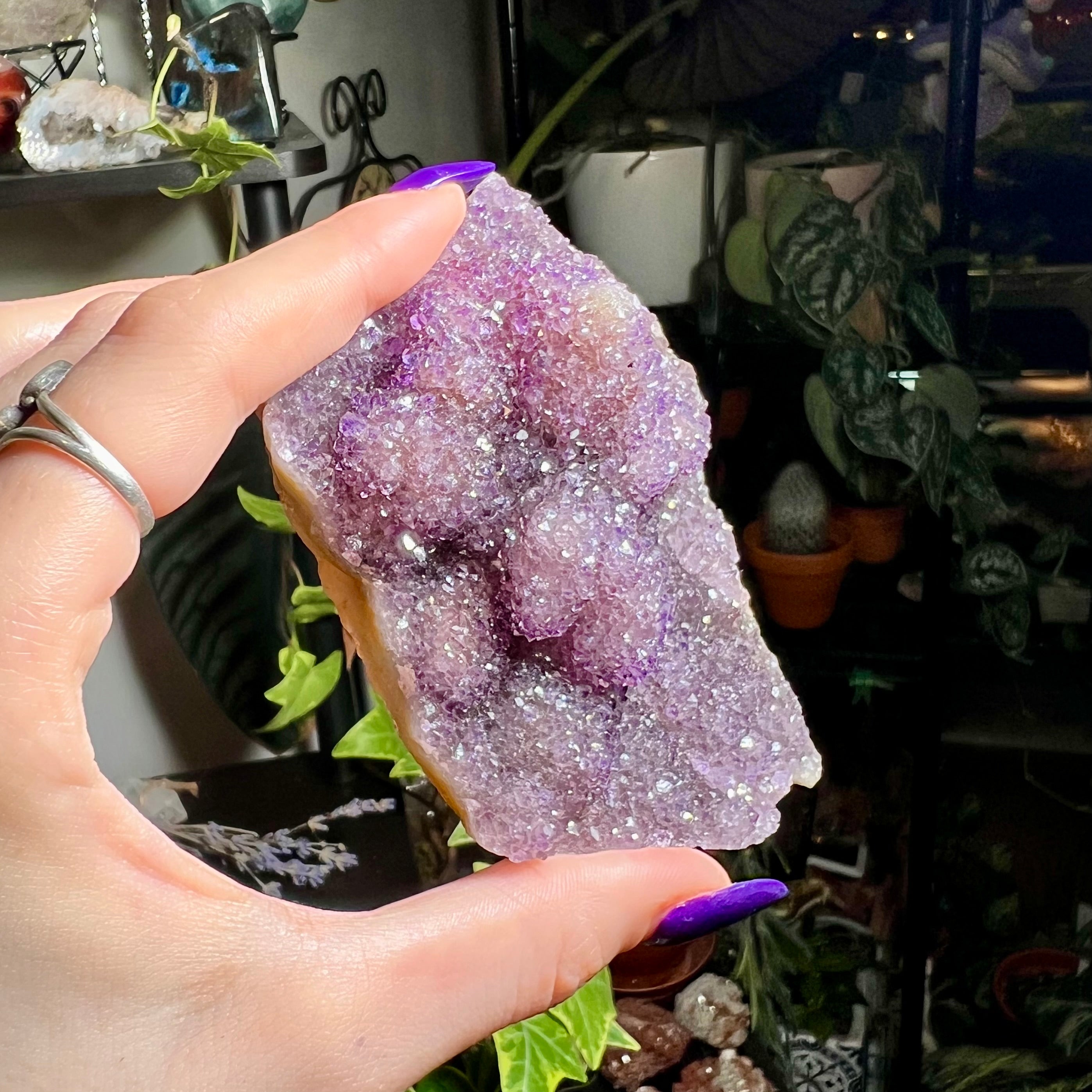 Amethyst Druzy Cluster