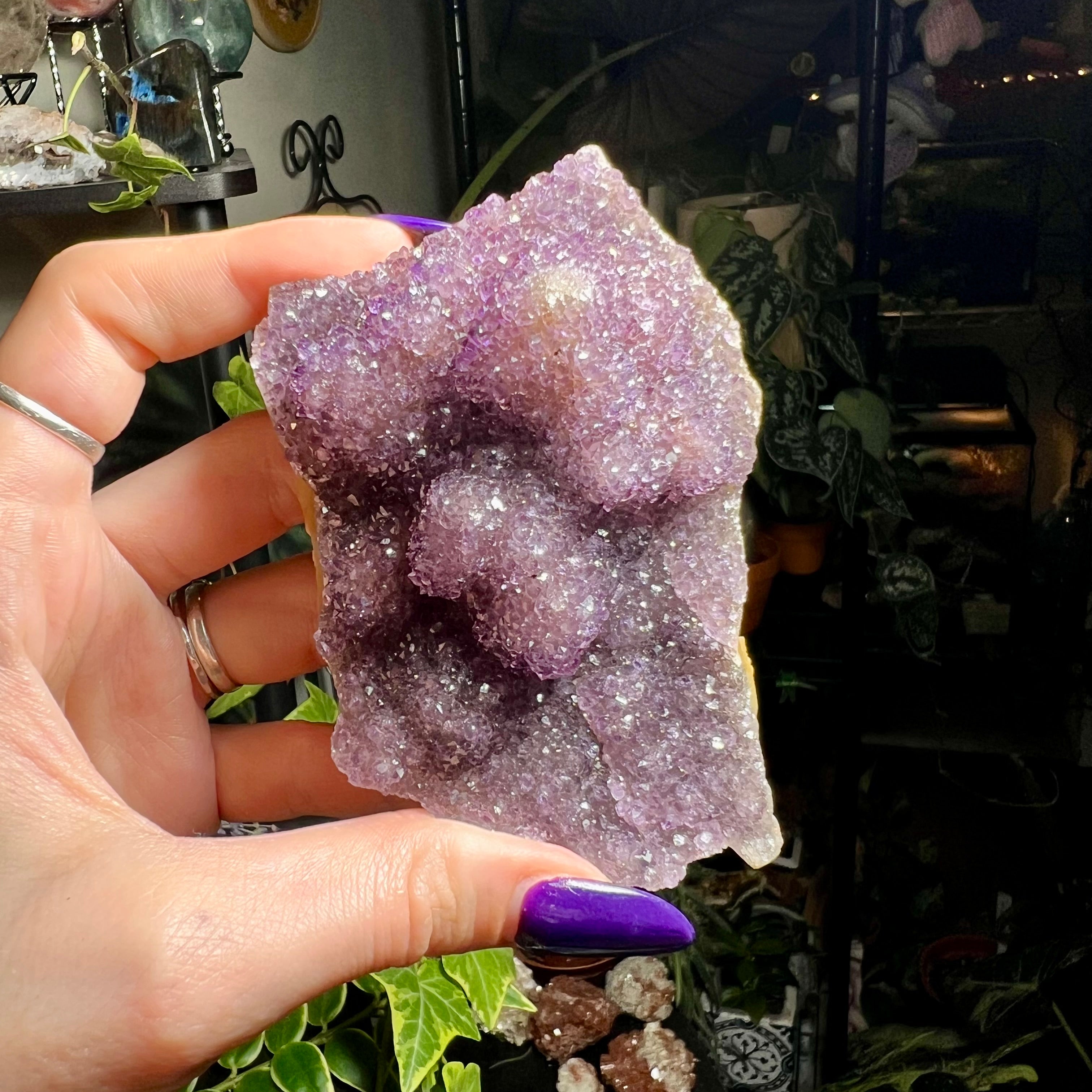 Amethyst Druzy Cluster