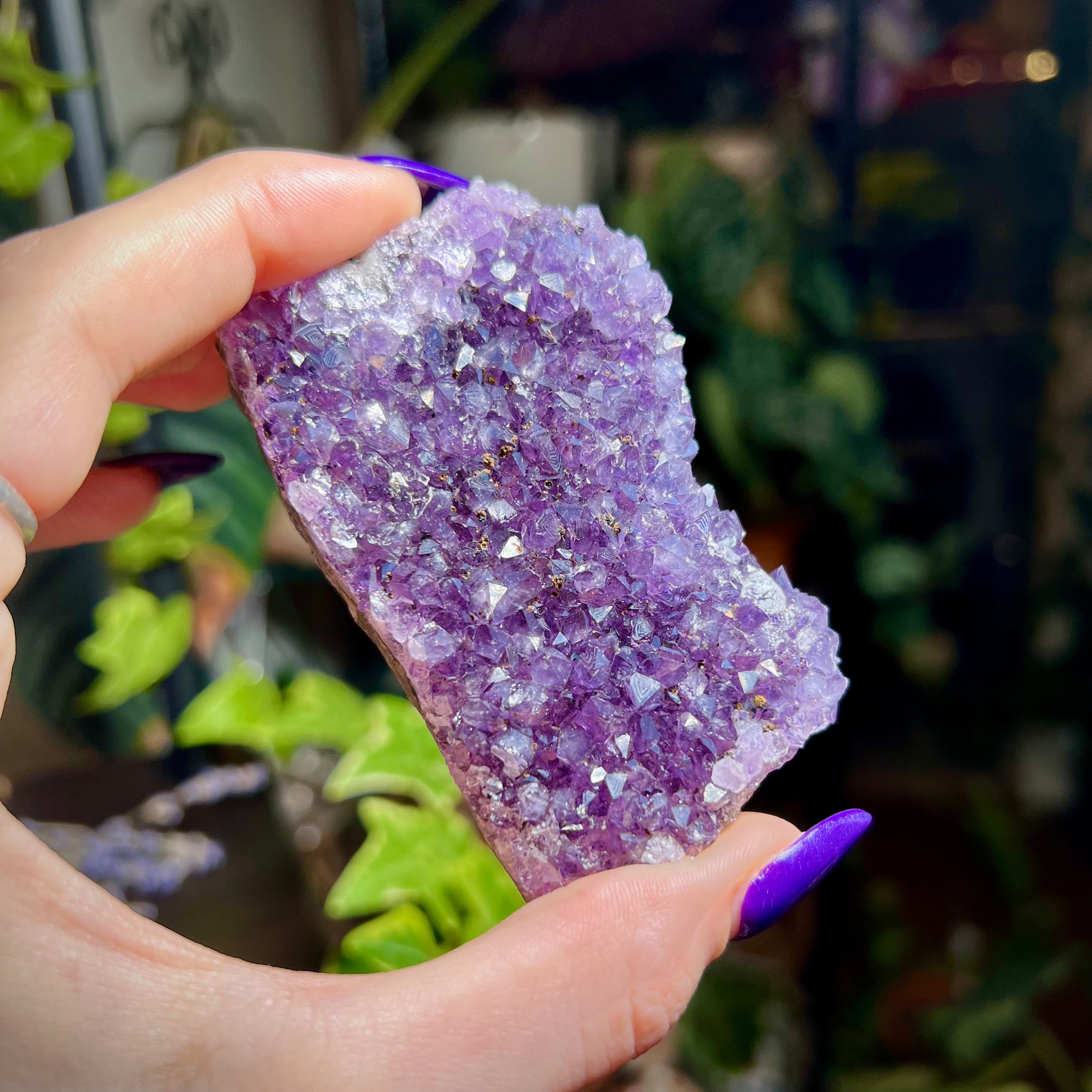 Amethyst Druzy Cluster