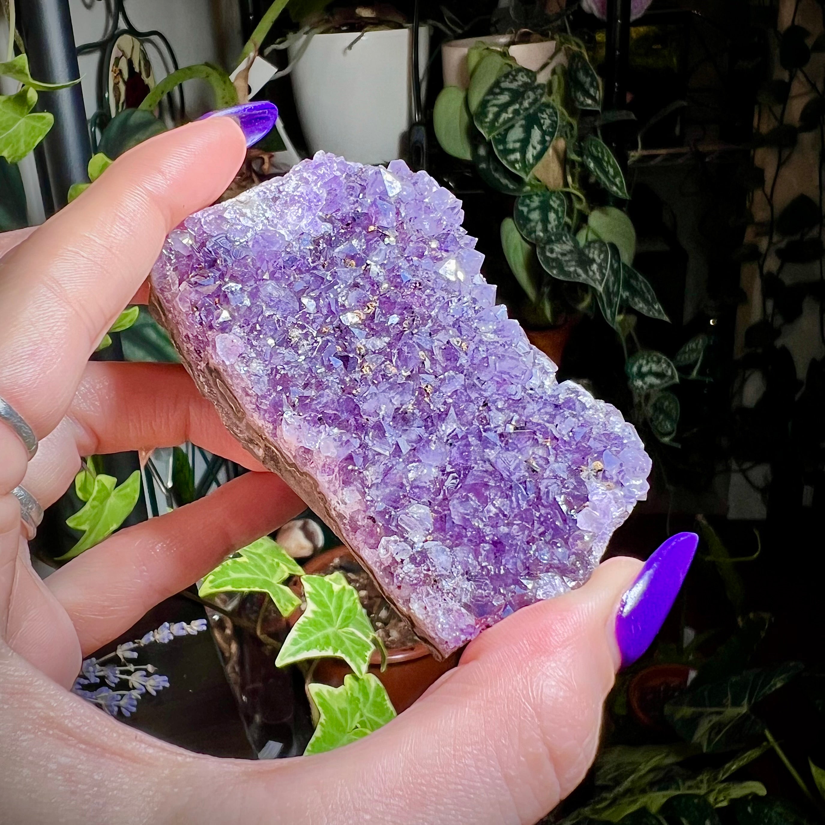 Amethyst Druzy Cluster