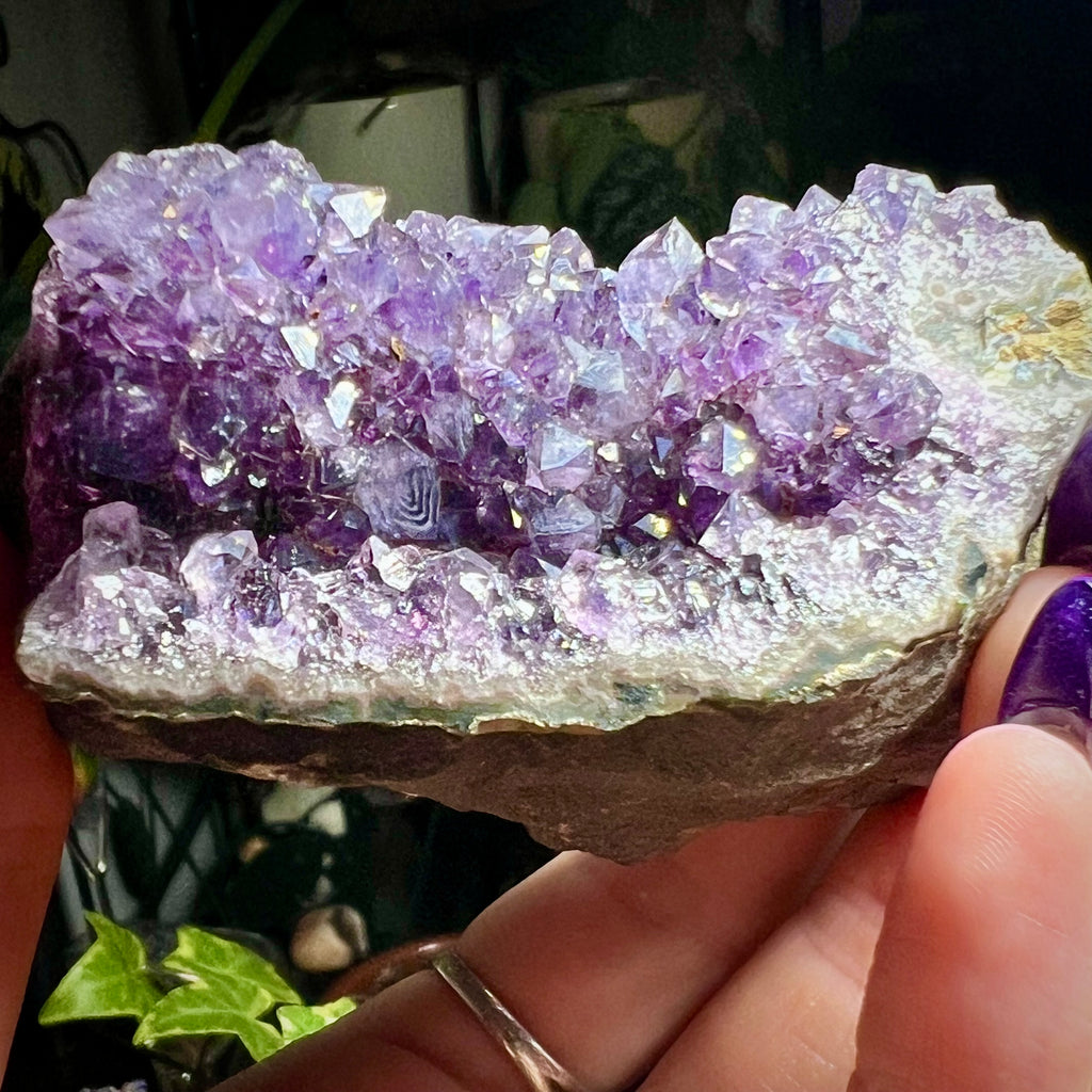 Amethyst Druzy Cluster