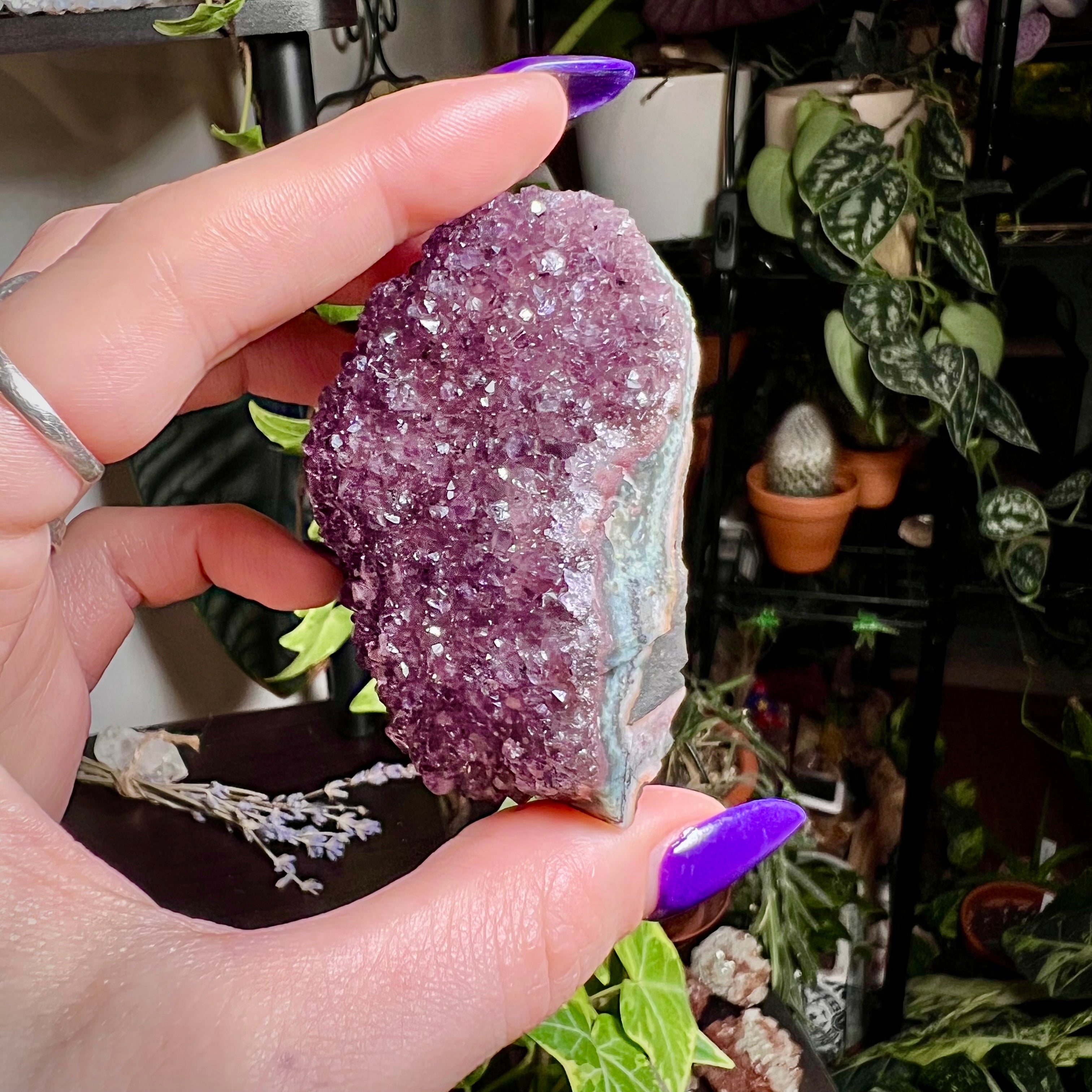 Amethyst Druzy Cluster