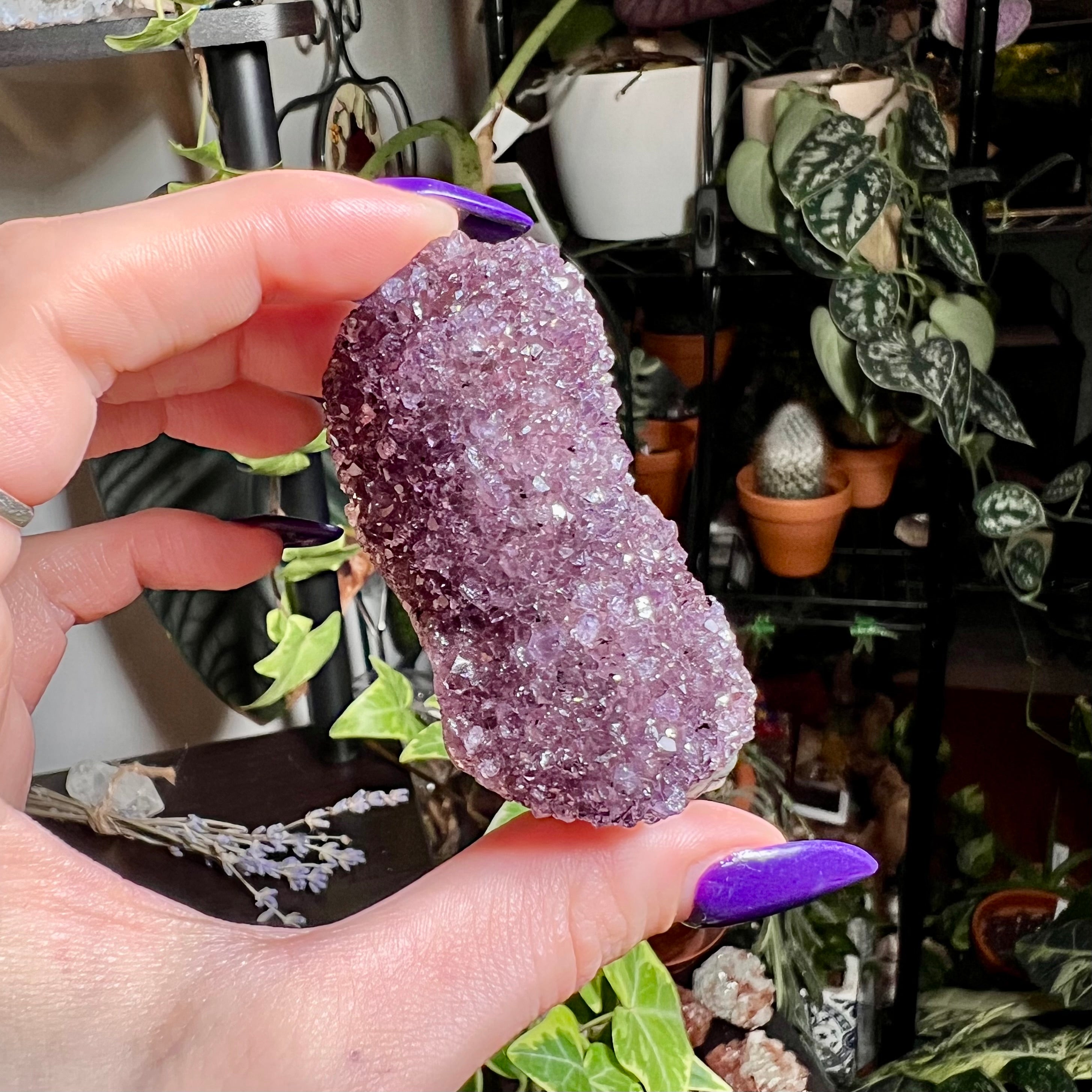 Amethyst Druzy Cluster