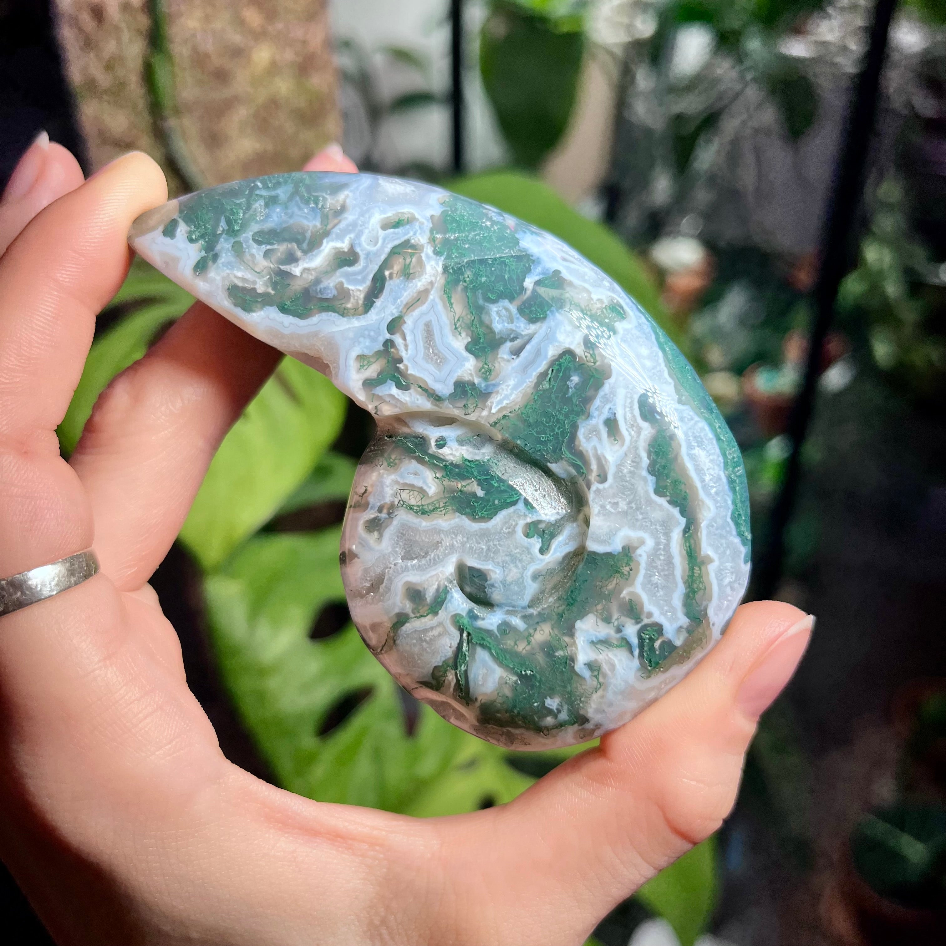 Tranquil Moss Agate Snail Shell