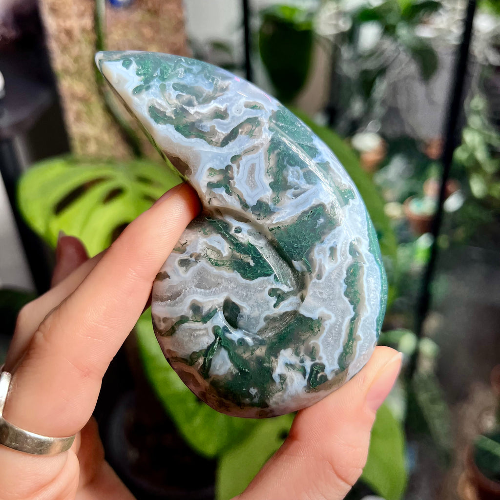 Tranquil Moss Agate Snail Shell