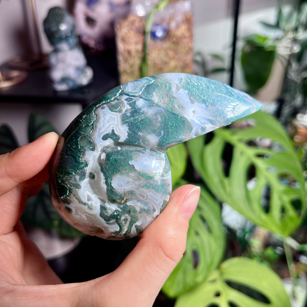 Tranquil Moss Agate Snail Shell