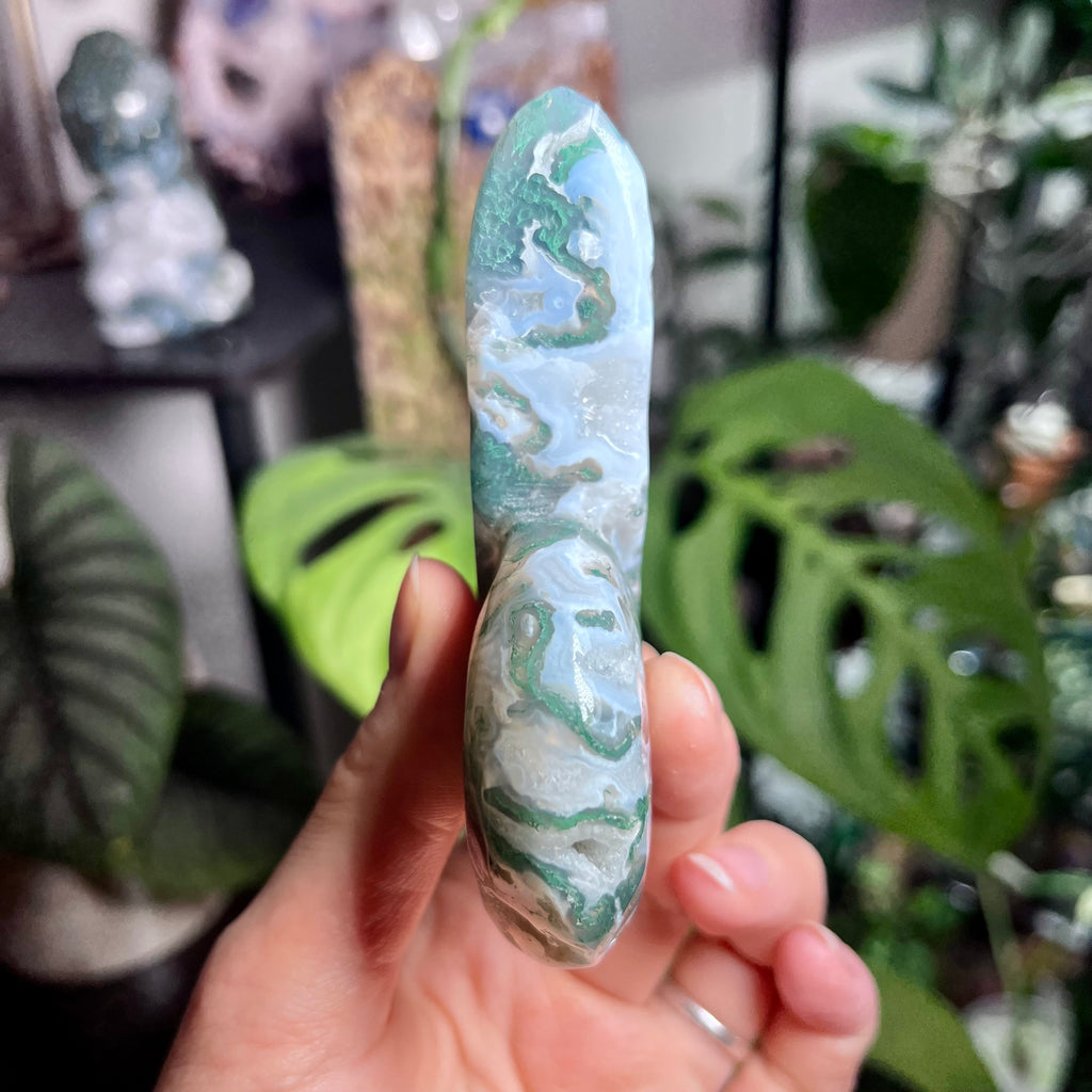 Tranquil Moss Agate Snail Shell