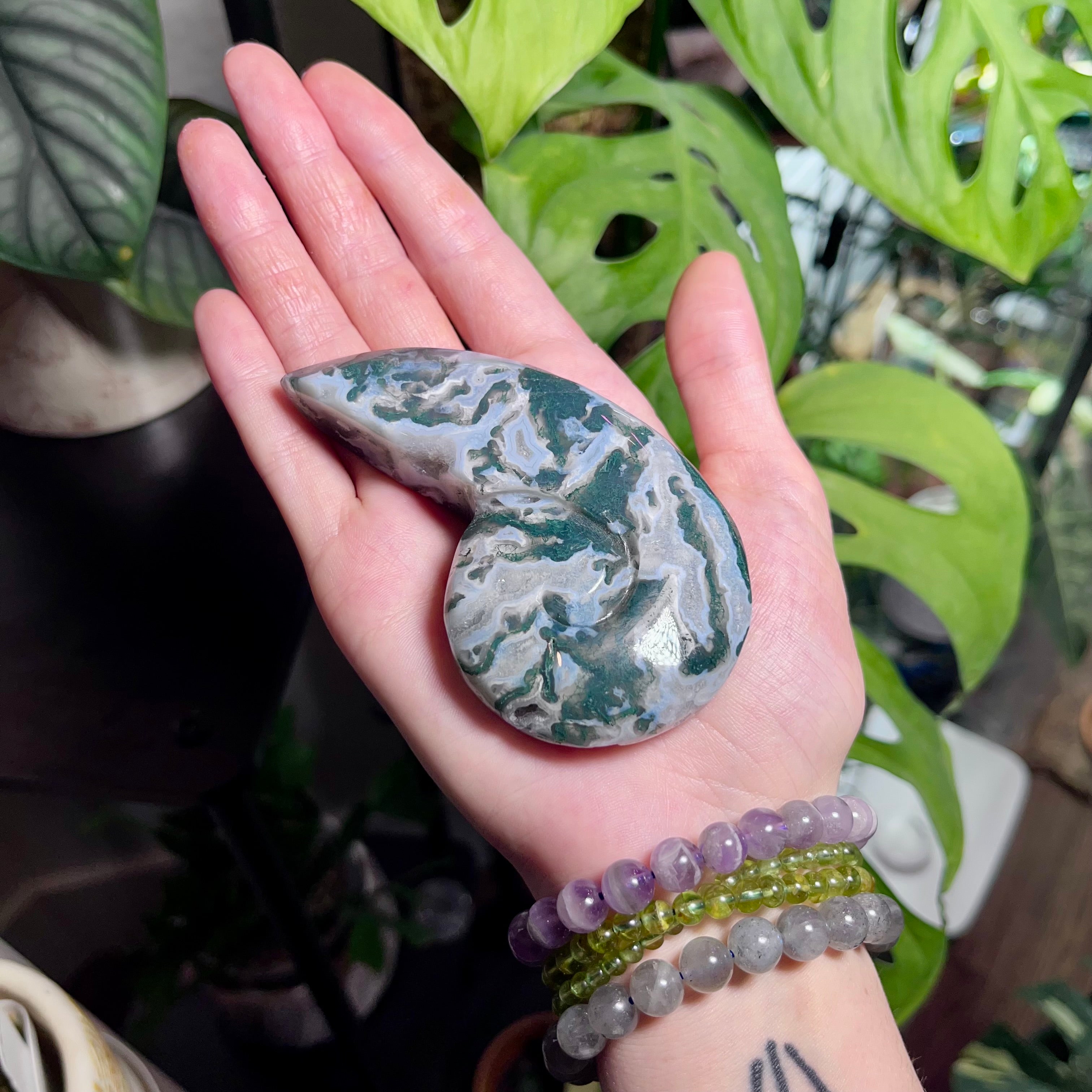 Tranquil Moss Agate Snail Shell
