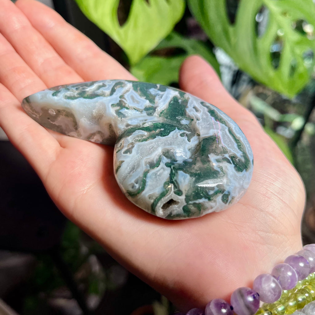 Tranquil Moss Agate Snail Shell