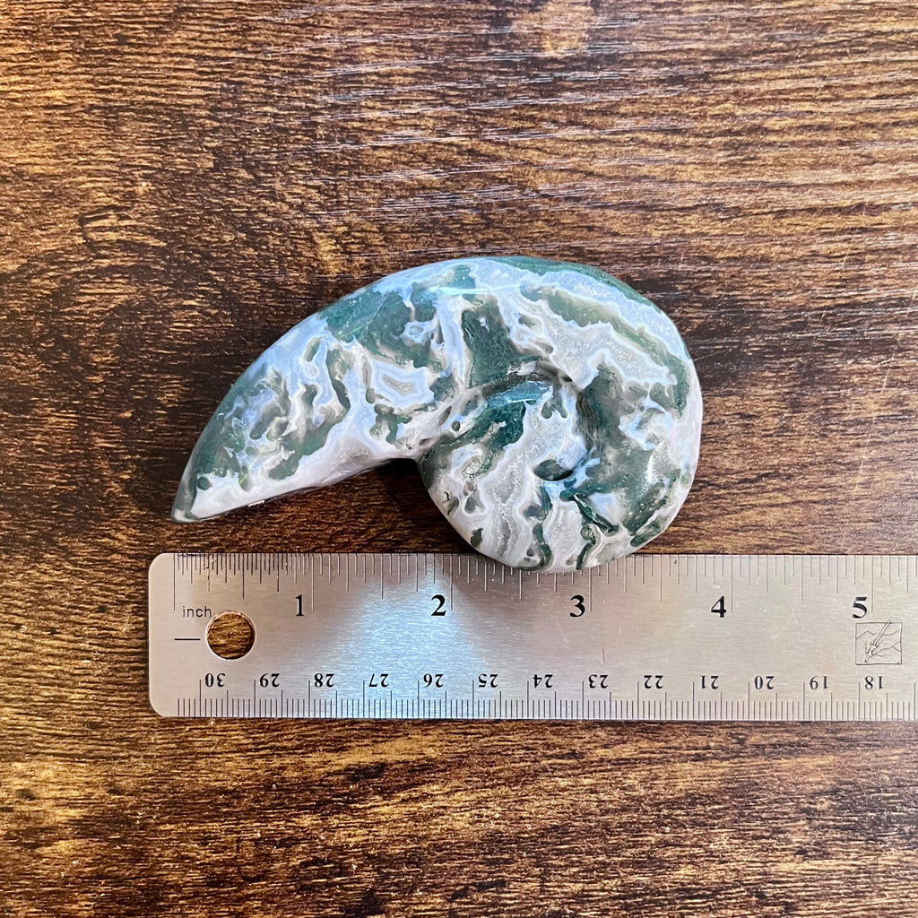 Tranquil Moss Agate Snail Shell