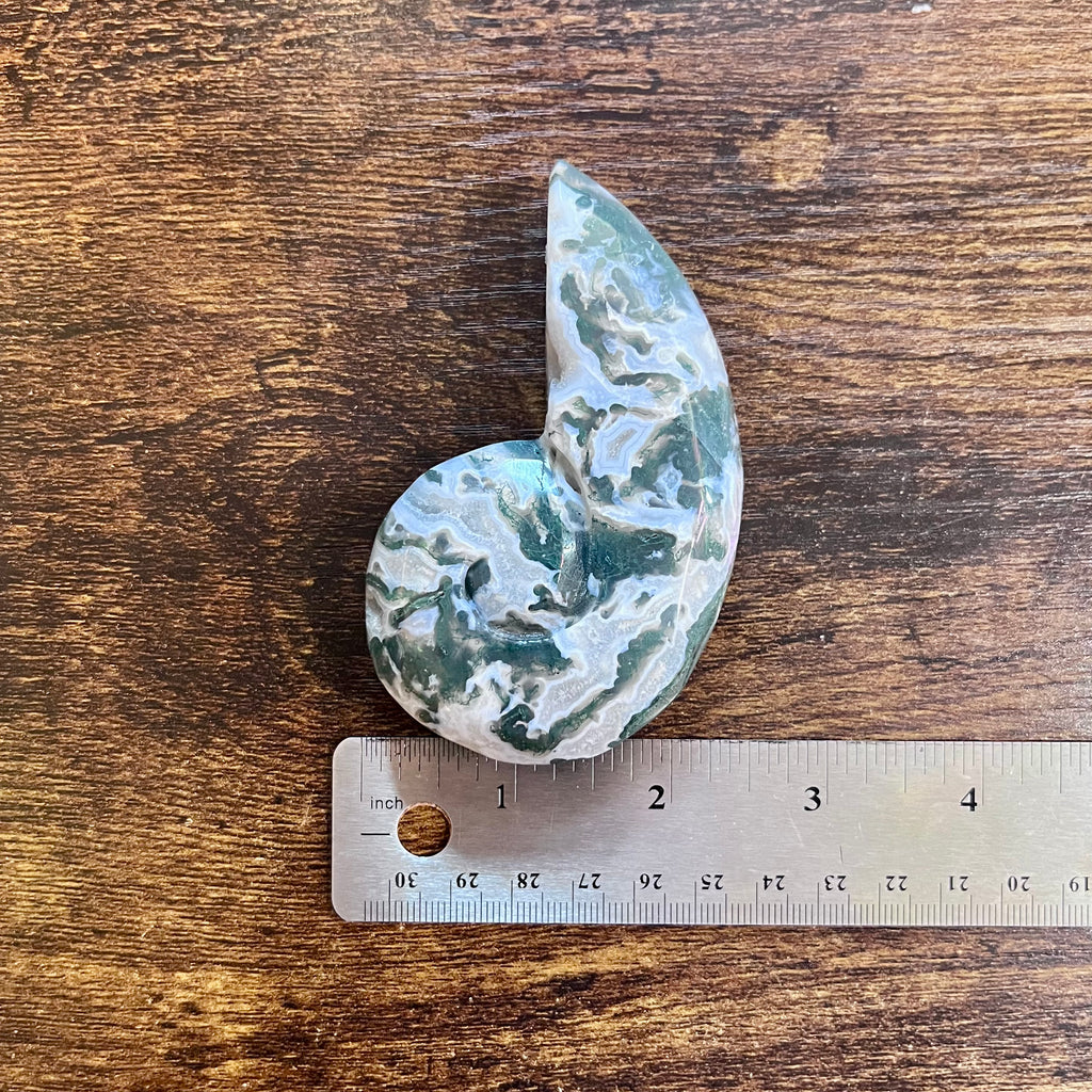 Tranquil Moss Agate Snail Shell