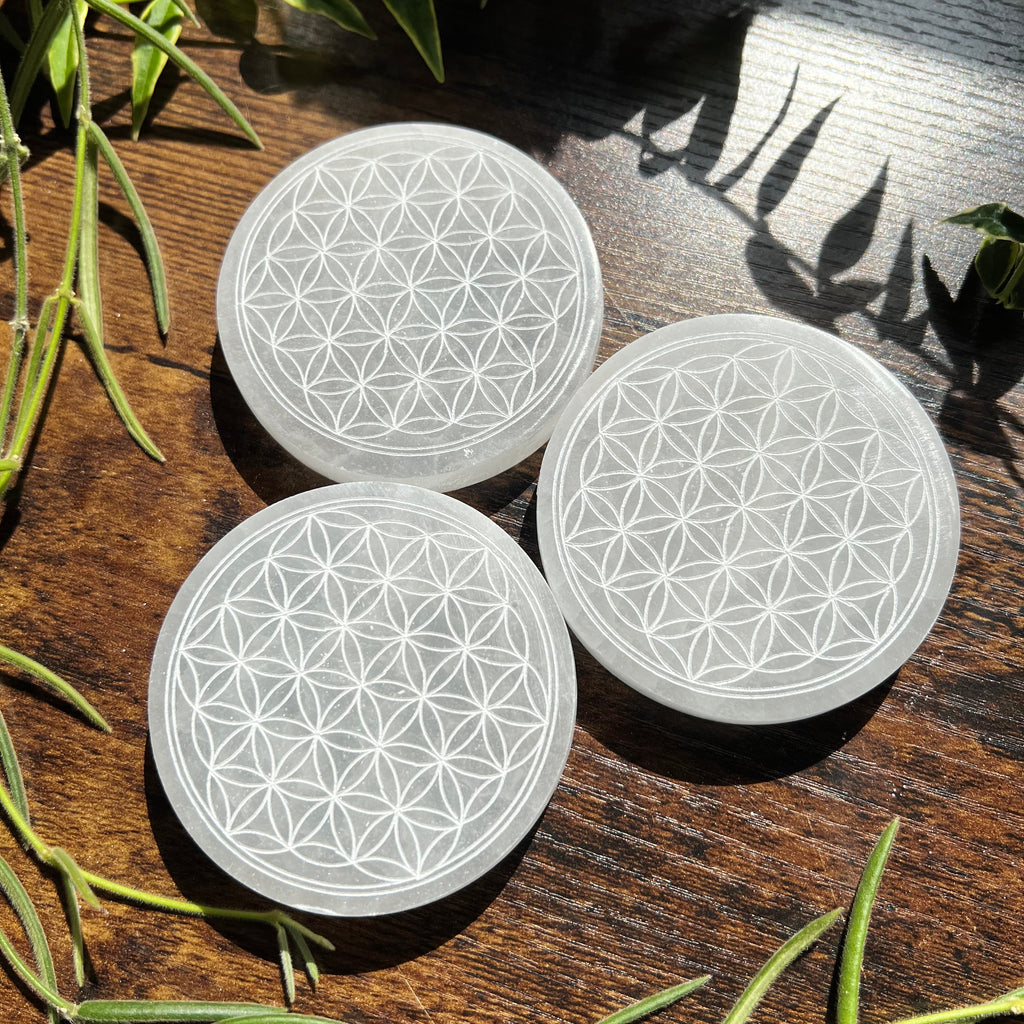 Selenite Charging Plate - Flower of Life