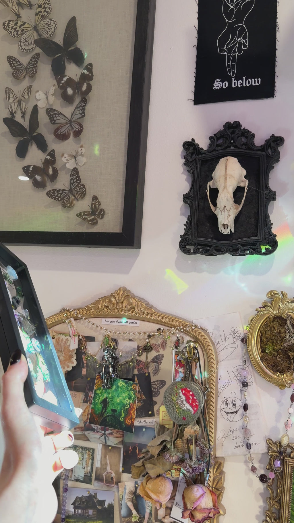 Whimsical Rainbow Bug Frame